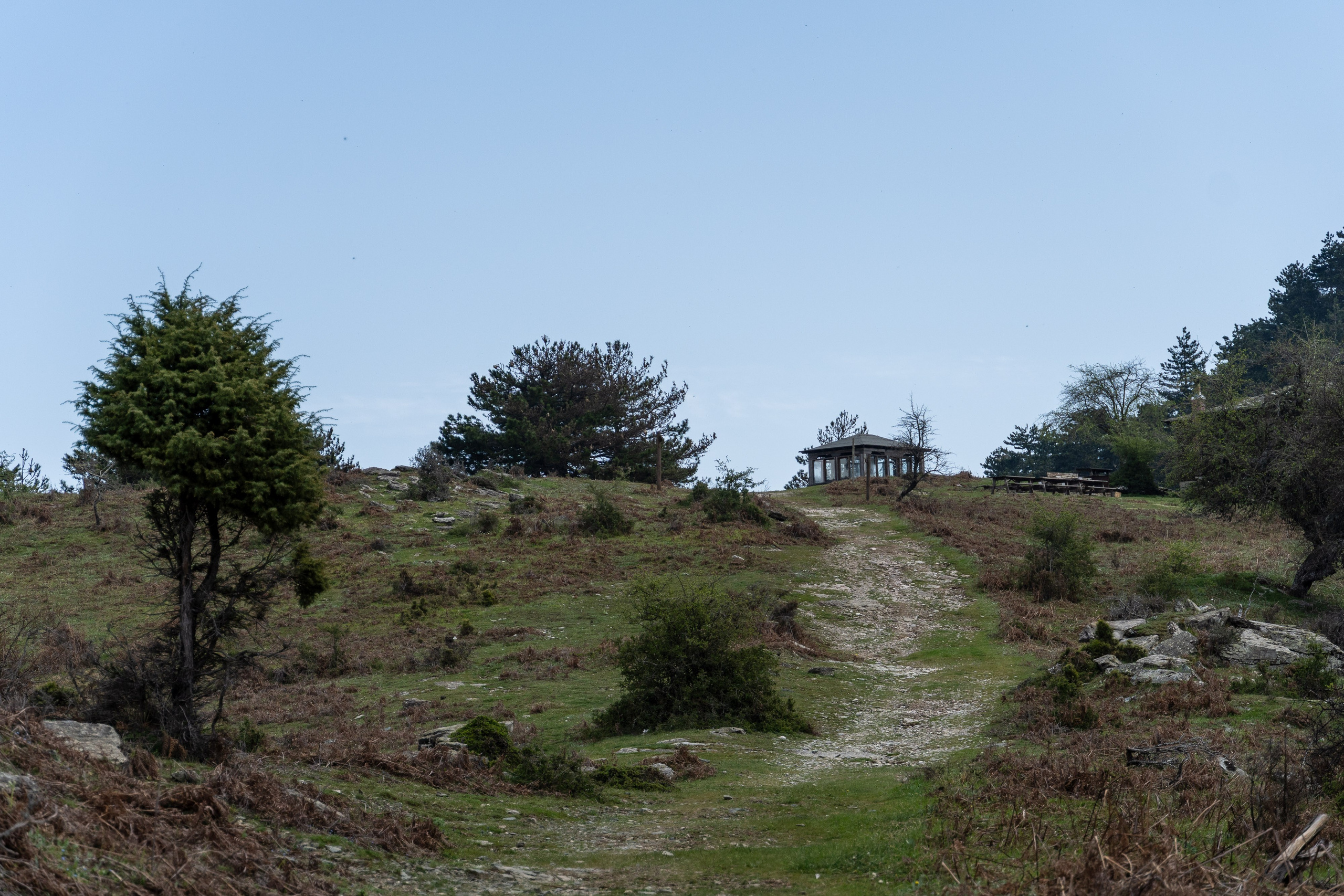 Thasos 2025. Fotografiideplacere.net