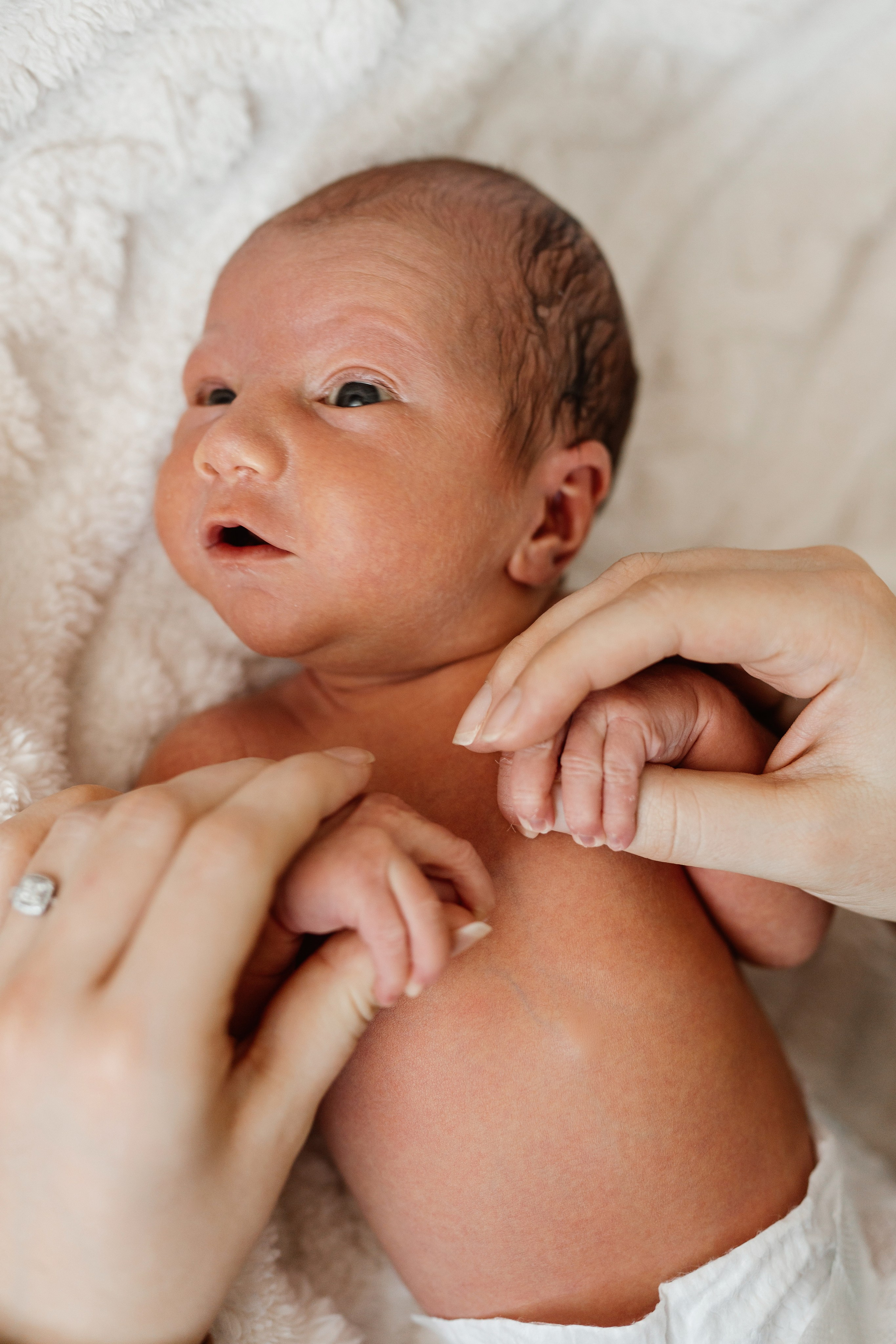 Vaniușa | primele zile de viață. Home