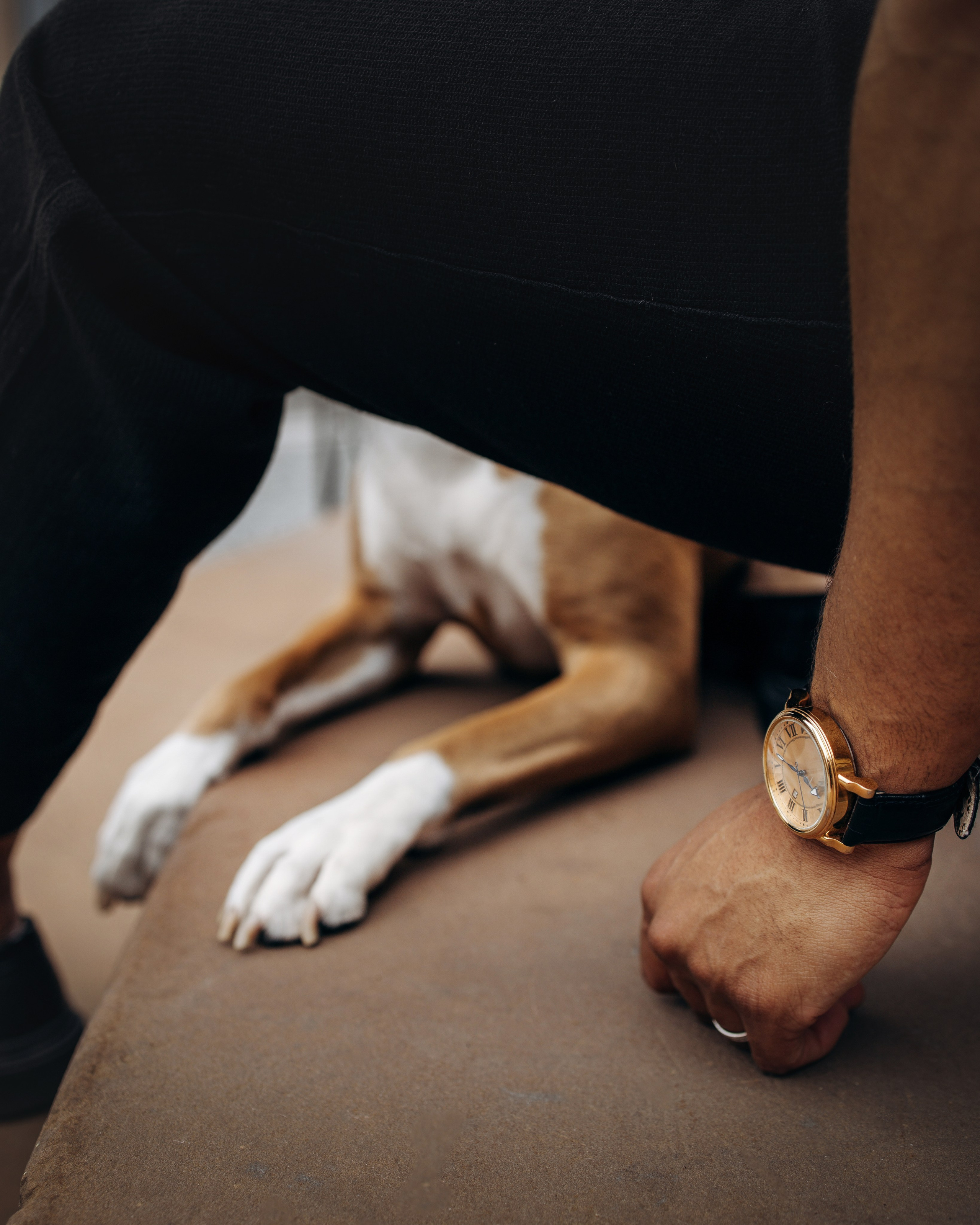 Oliver & Darin. Pet Photographer Viktoriya Aleshenko