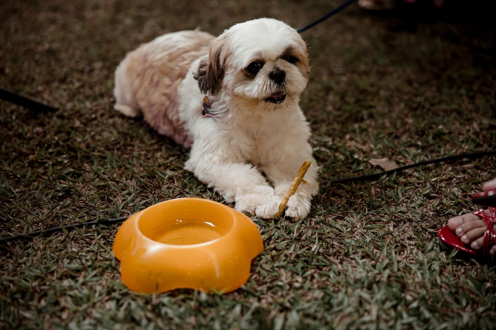 Renil and Joanna. Joel Fernandes — Candid wedding photographer