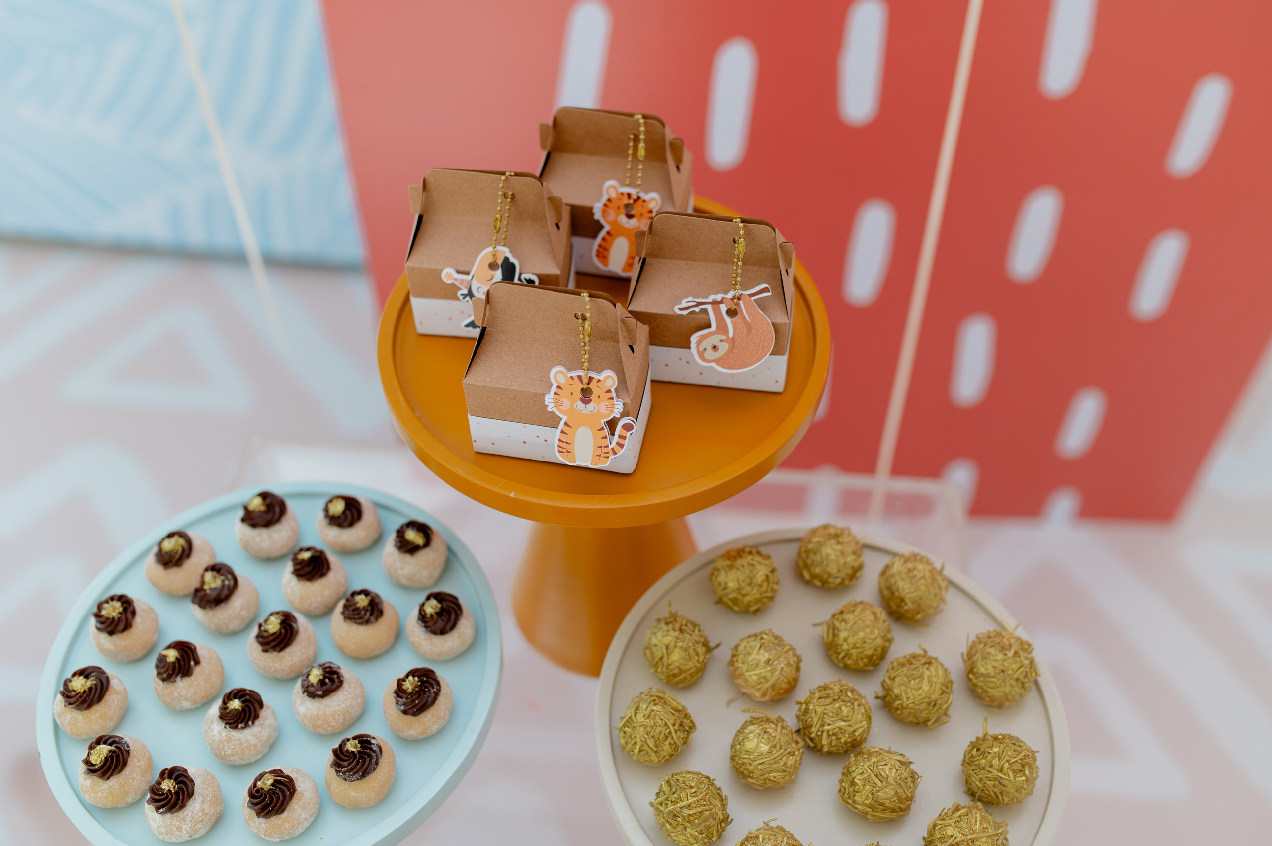 Tito José 1 Ano. Água Carmim Fotografia