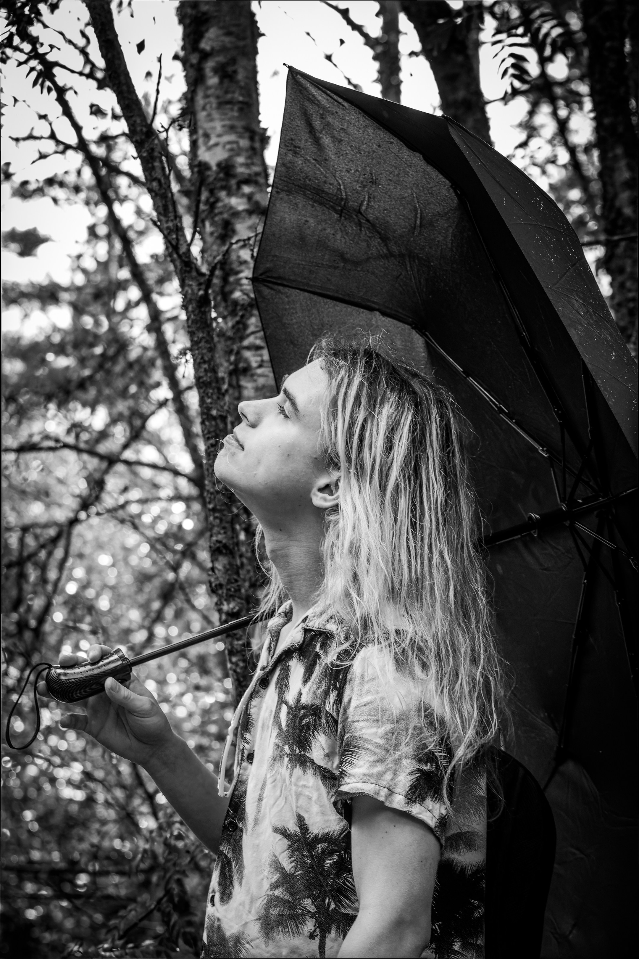 Mets, vihm ja jahedus (Dimitry). Nebula 25 — Fotod teie hingele