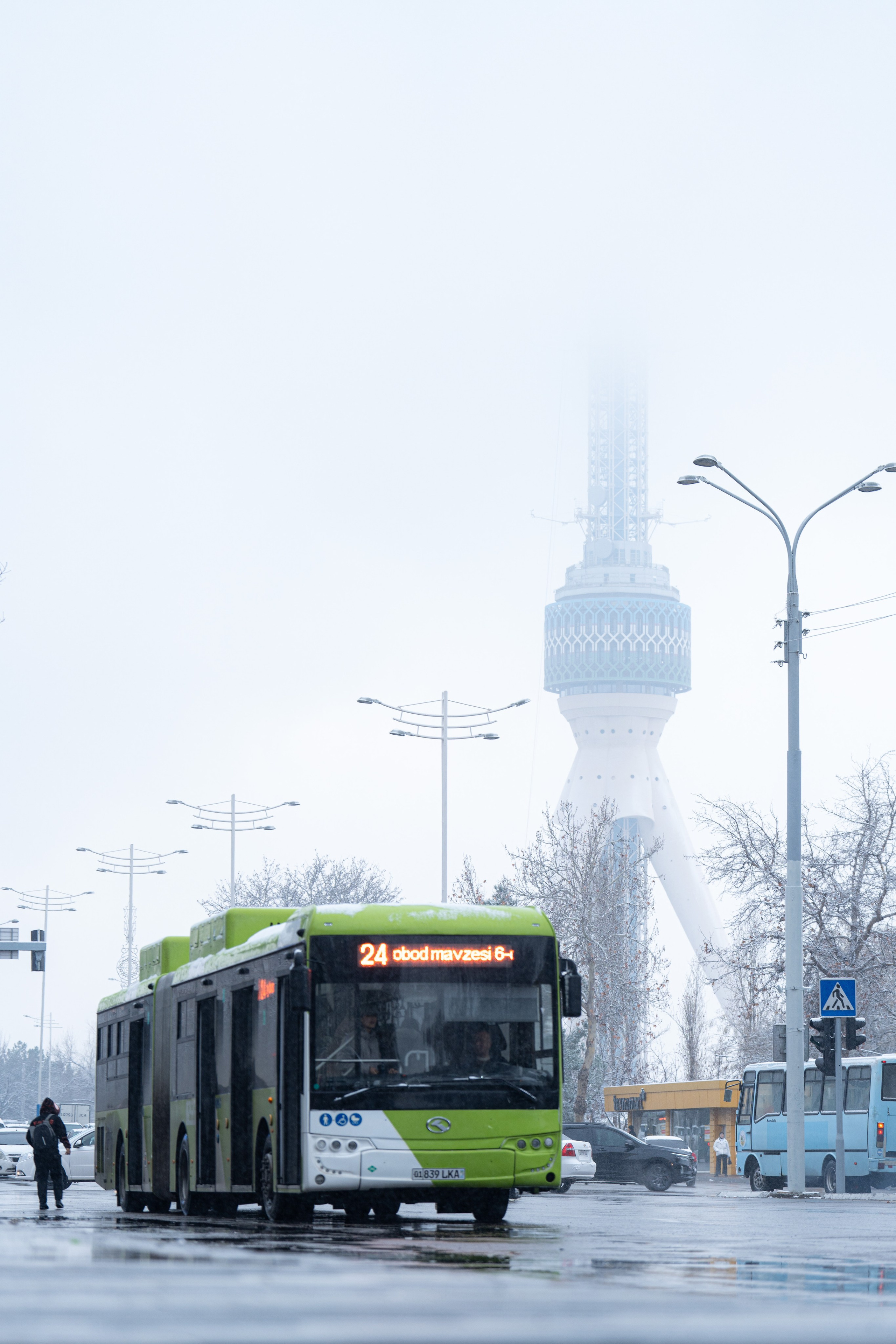 Первый снег в 2024 году. Георгий Намазов | Фотограф в Ташкенте