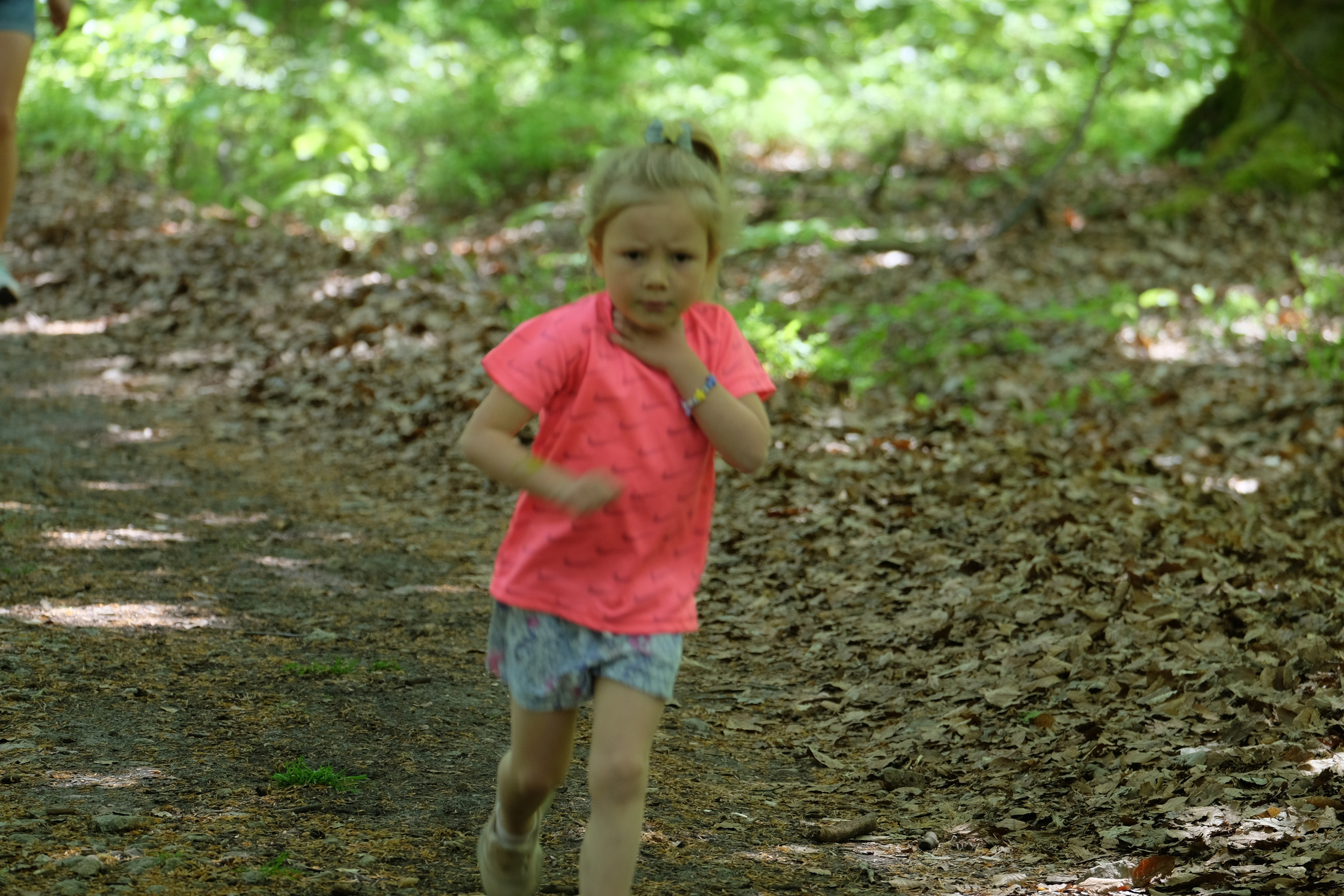 Aleksandryjska Piątka po lesie. Main