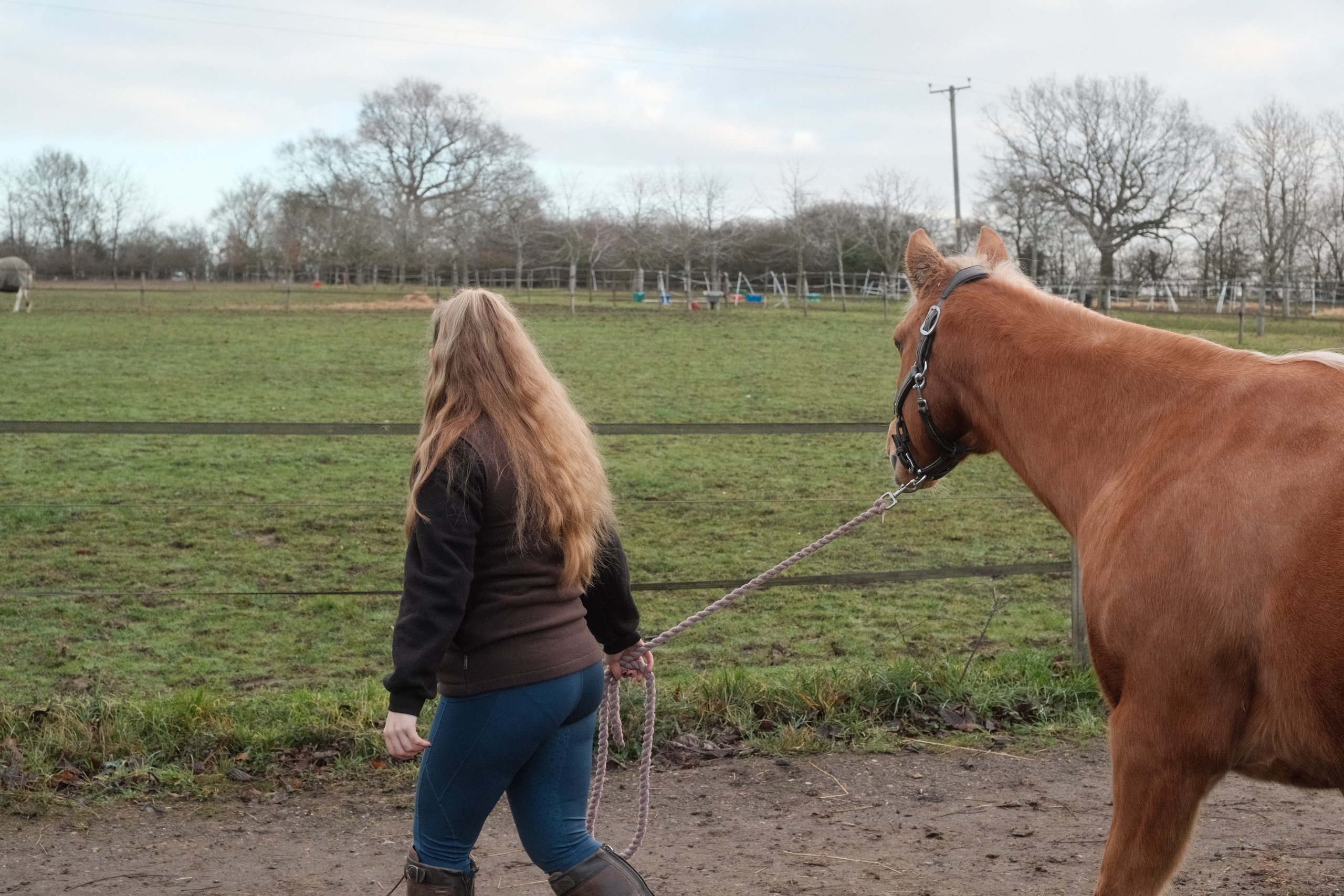 Portrait photography with Fudge the horse. Cal Takes Photos