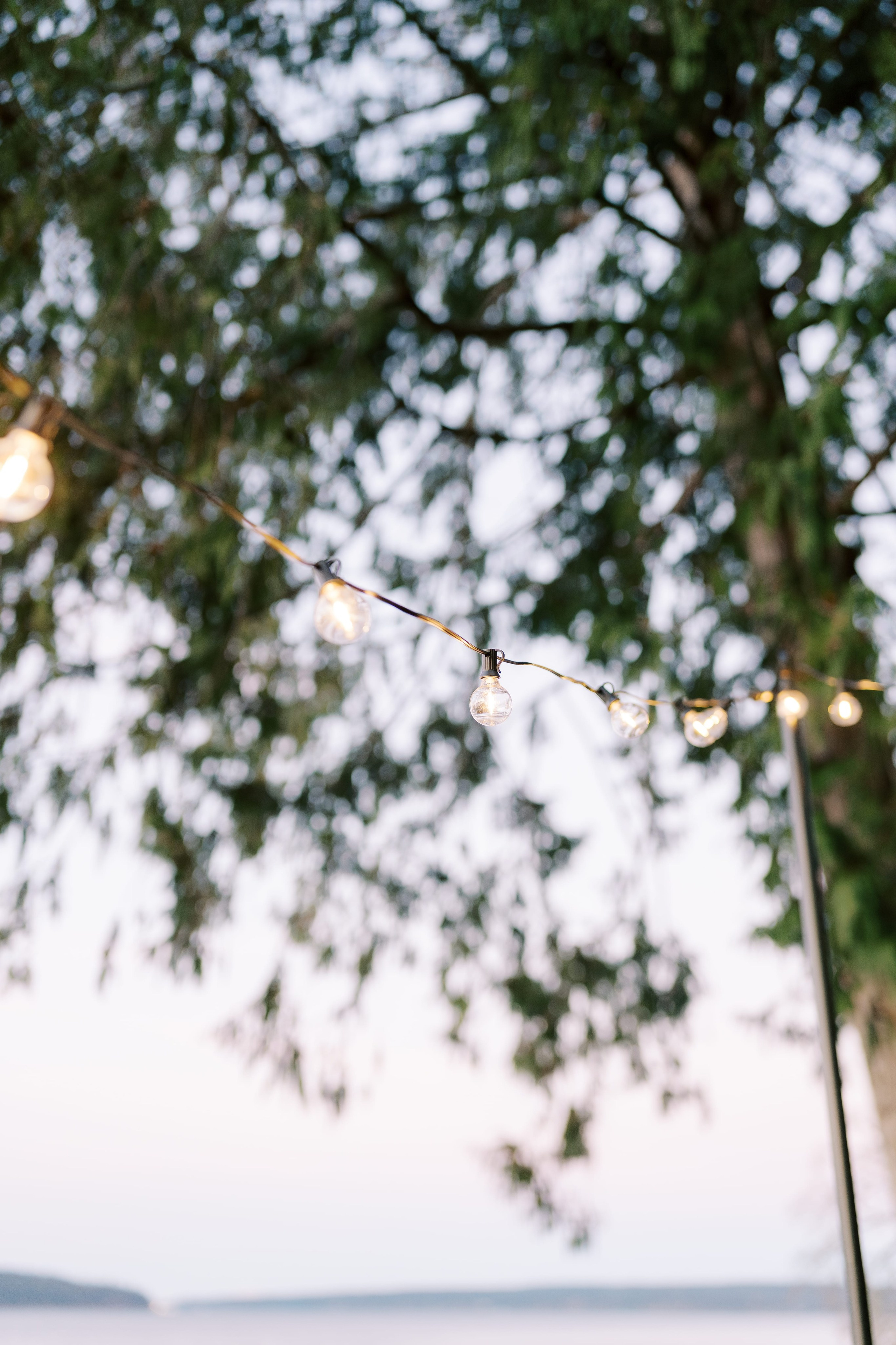 Proposal. January 2025. Seabeck, Washington State. EVAN ARISTOV WEDDING PHOTOGRAPHY — Seattle Wedding Photographer