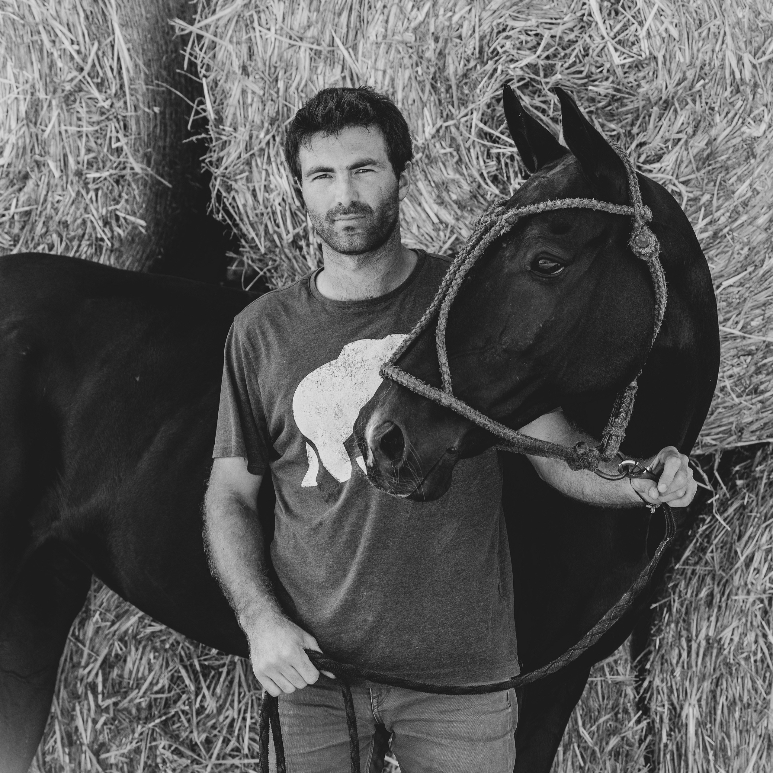 Photo shoot with horses