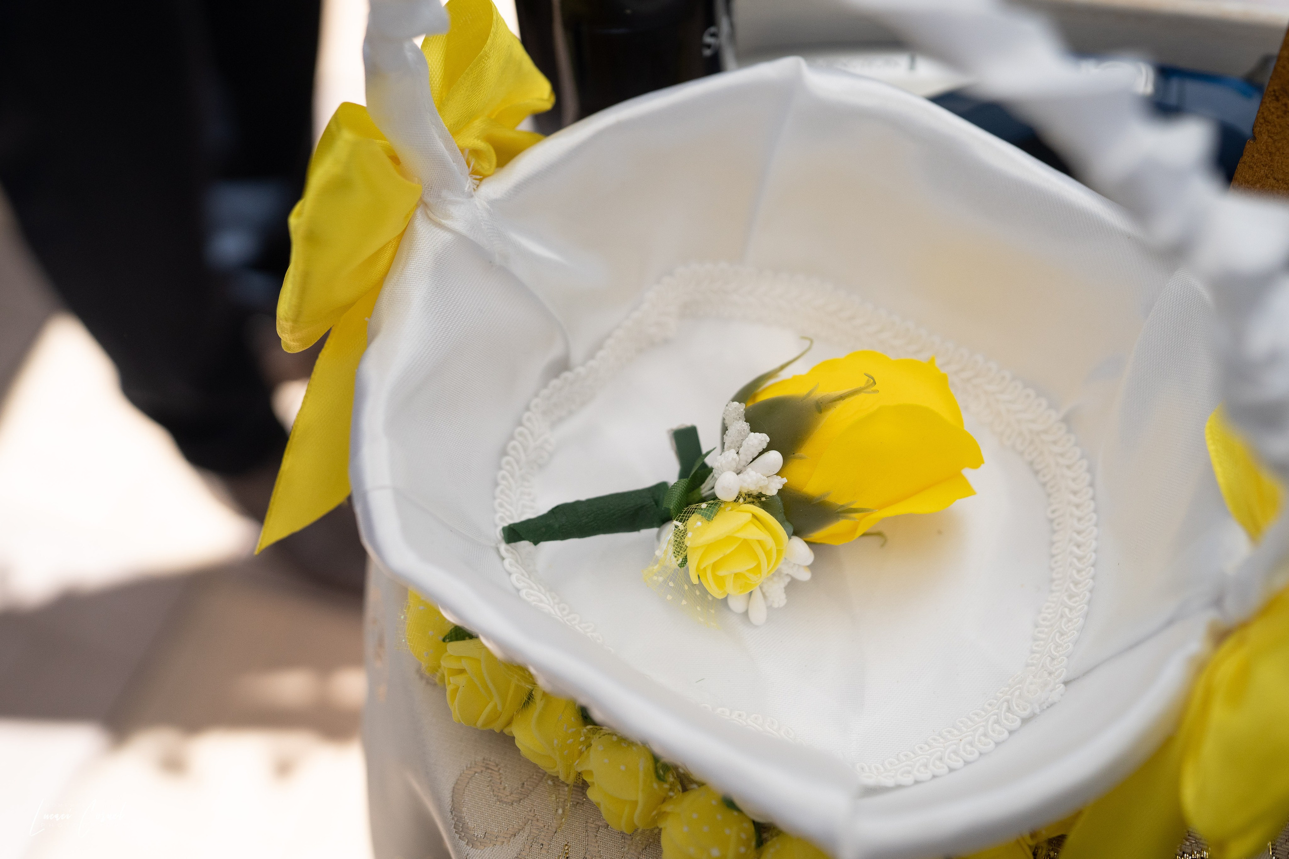 Andreea & Ștefan – Nuntă cu suflet. Fotograf de nuntă, corporate, botezuri, majorate și aniversări Roman, Lucaci Cornel