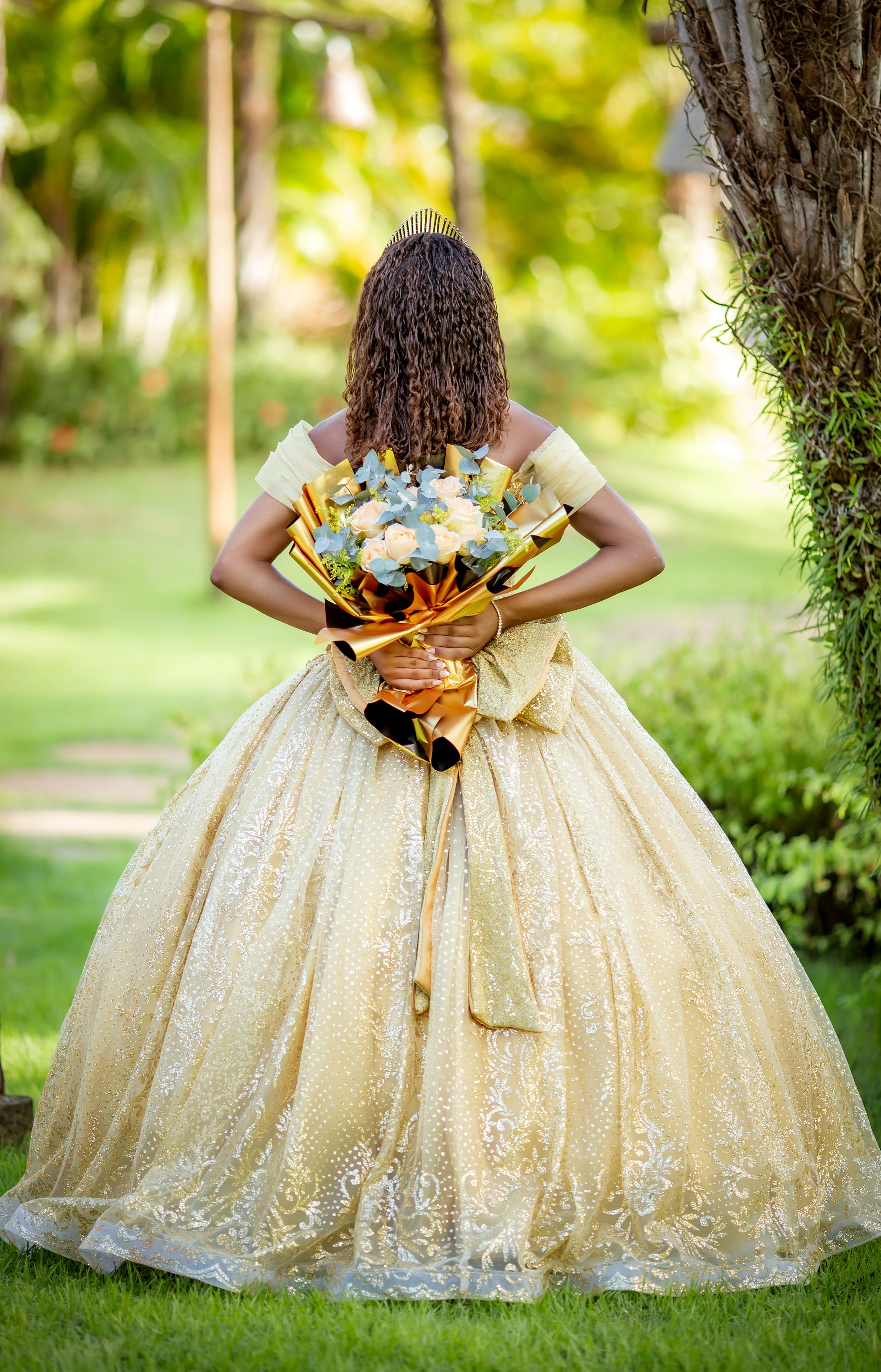 Ensaio XV anos — Yasmin (tema princesa tiana). Flavio Nunes Fotografia (Fotografo especializado em Fotografia de 15 Anos e Ensaios)