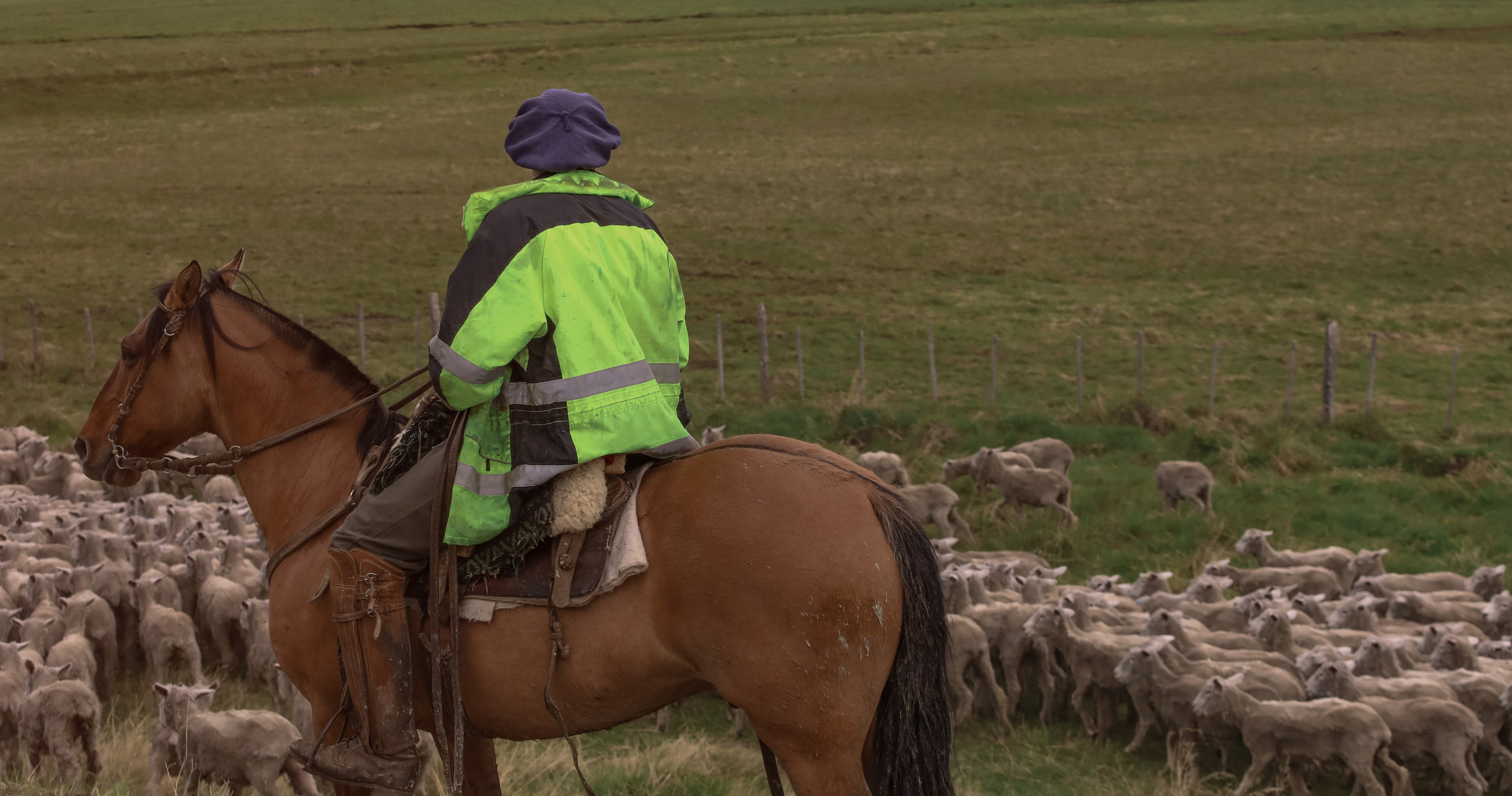 PATAGONIE. Photographe Karen Tatevosian