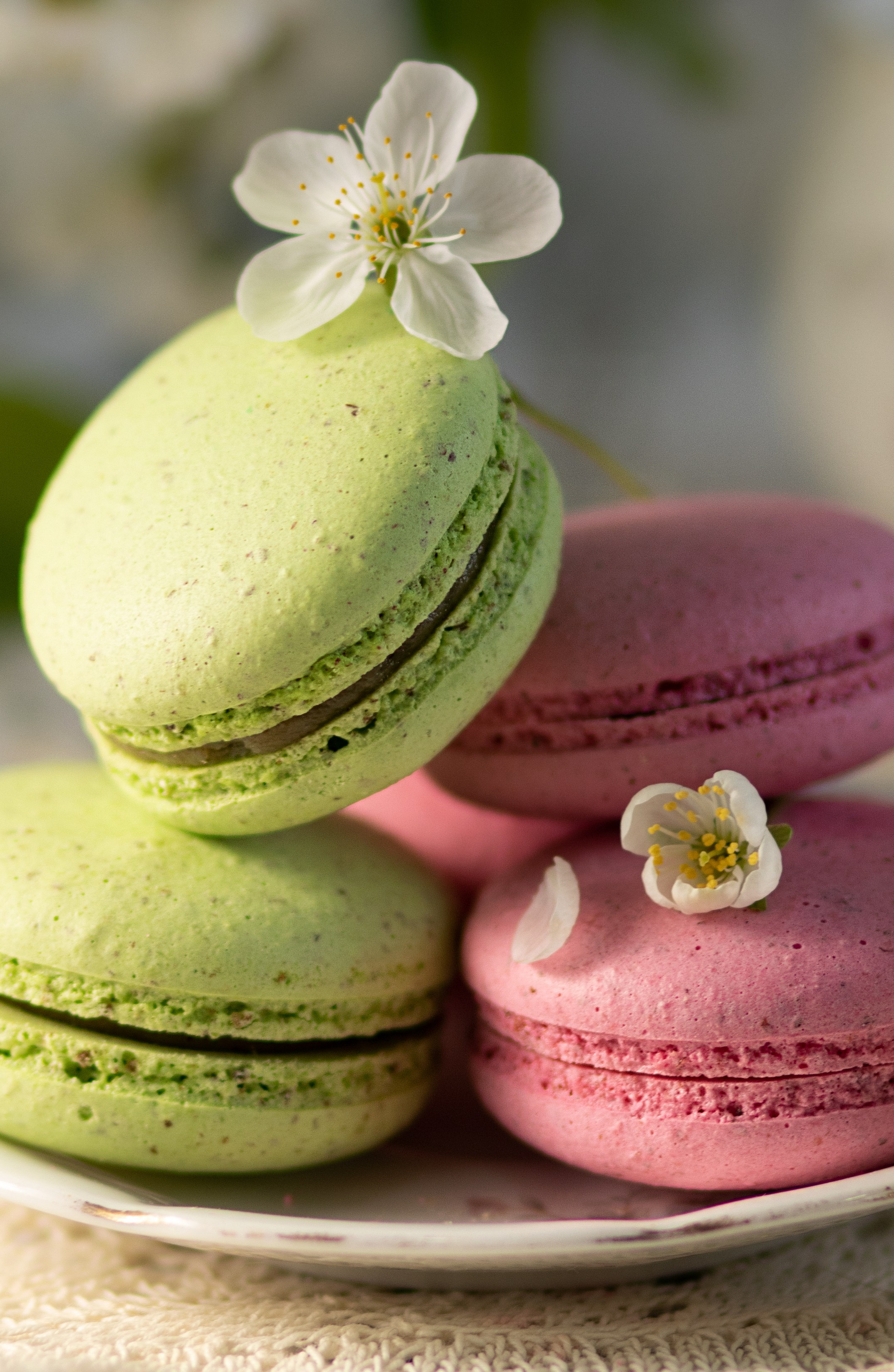 Фуд съемка. Семейный и рекламный фотограф в Ташкенте Мария Кудрявцева