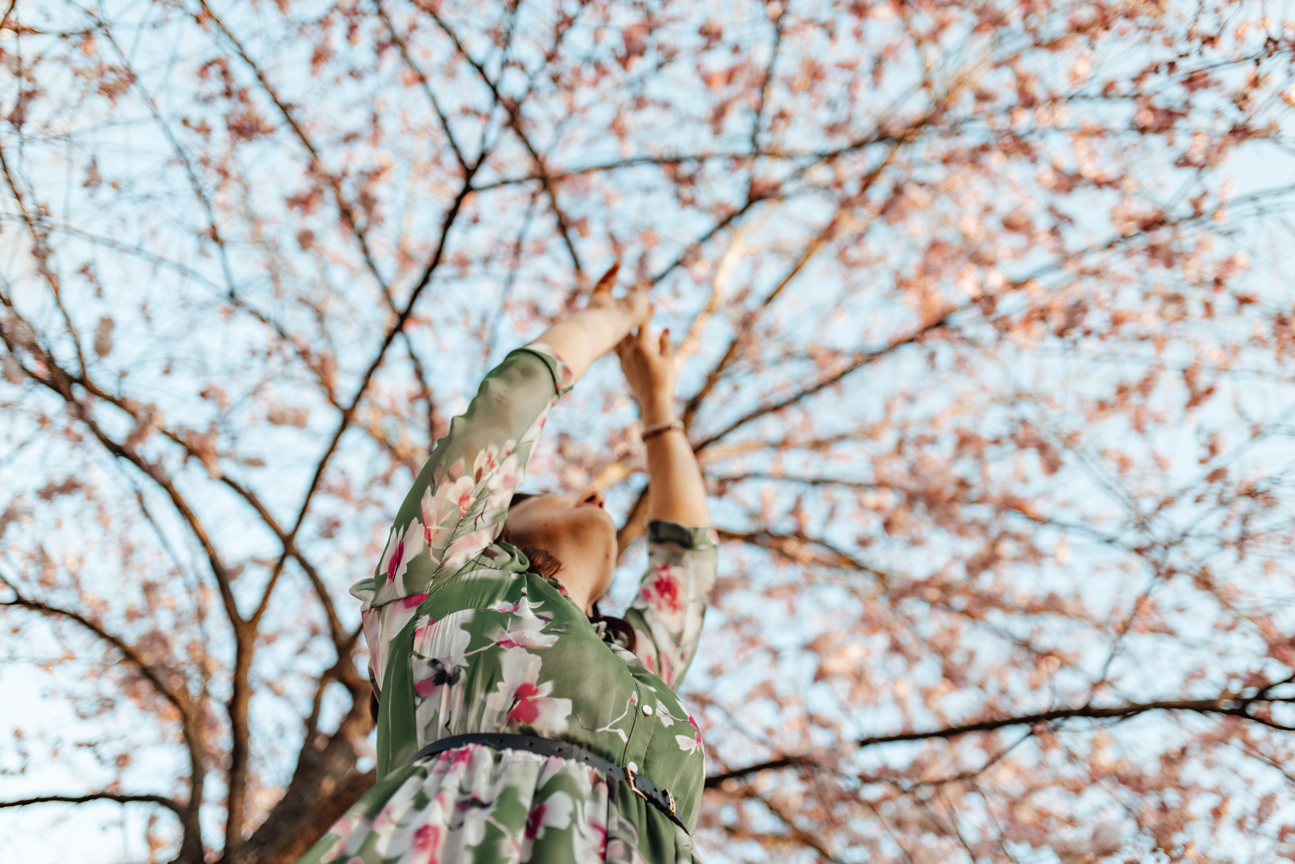 Fotogrāfe Zane Stulpiņa