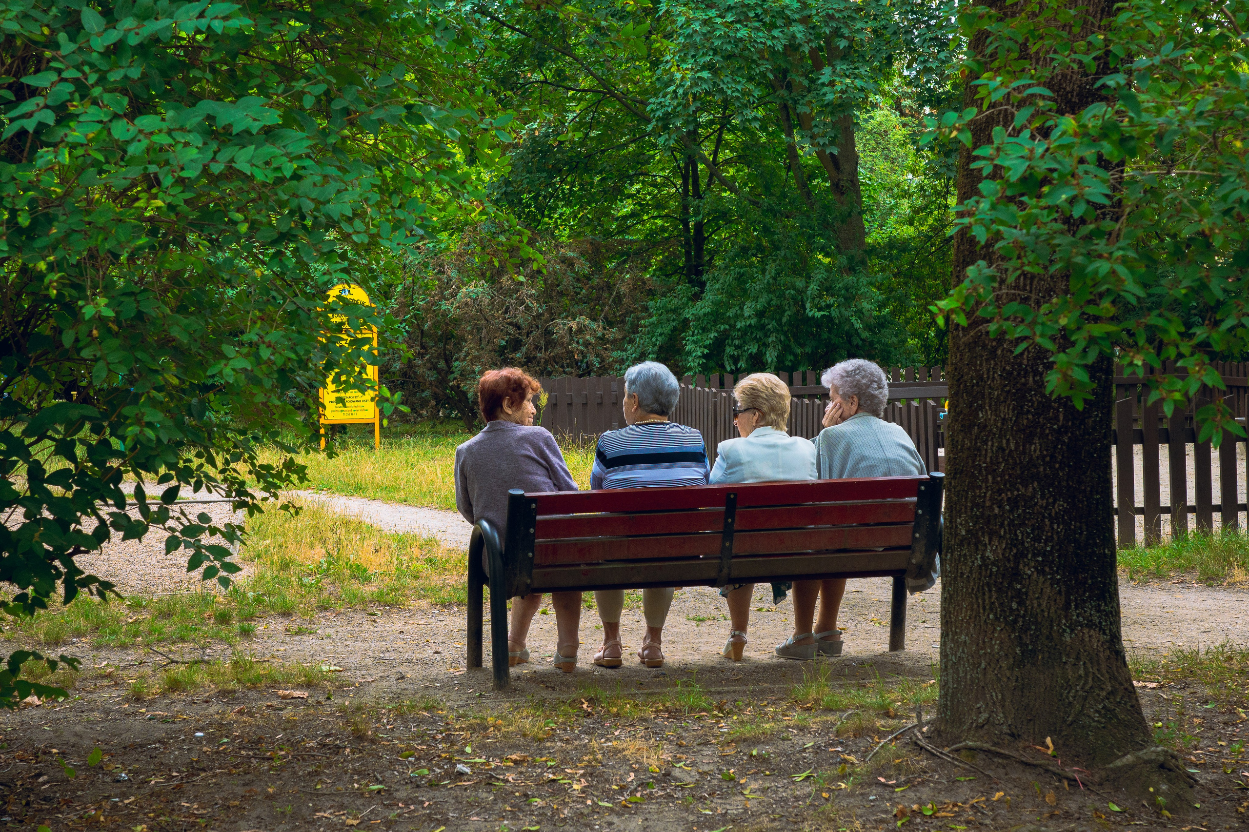 Работы Марии Шер. Sher.SCHOOL