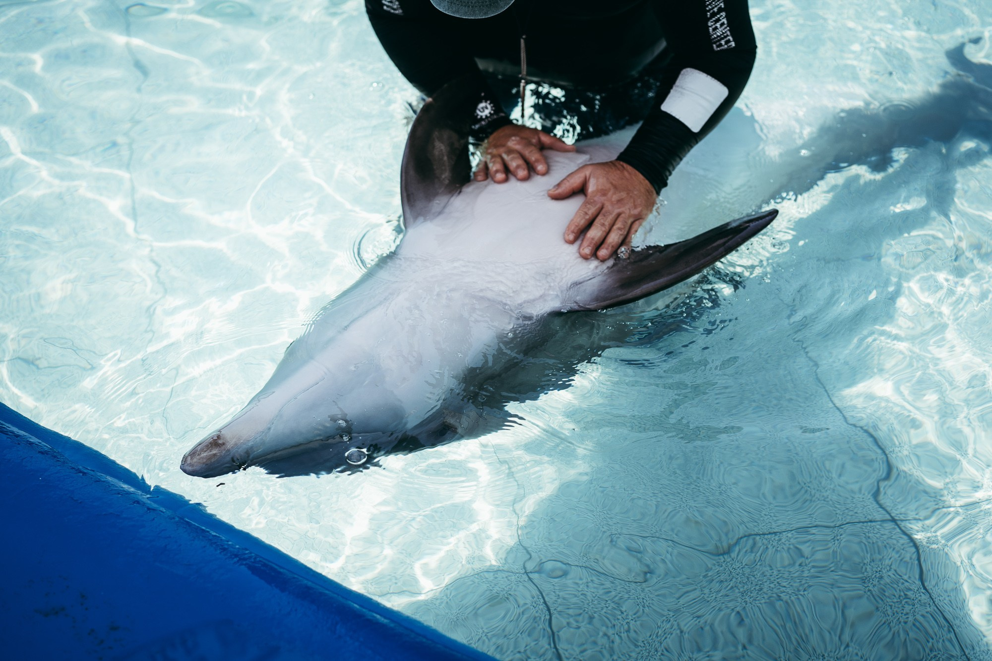 200 kilohertz. Stanislava Novgorodtseva — Photographer | Visual Artist | Educator