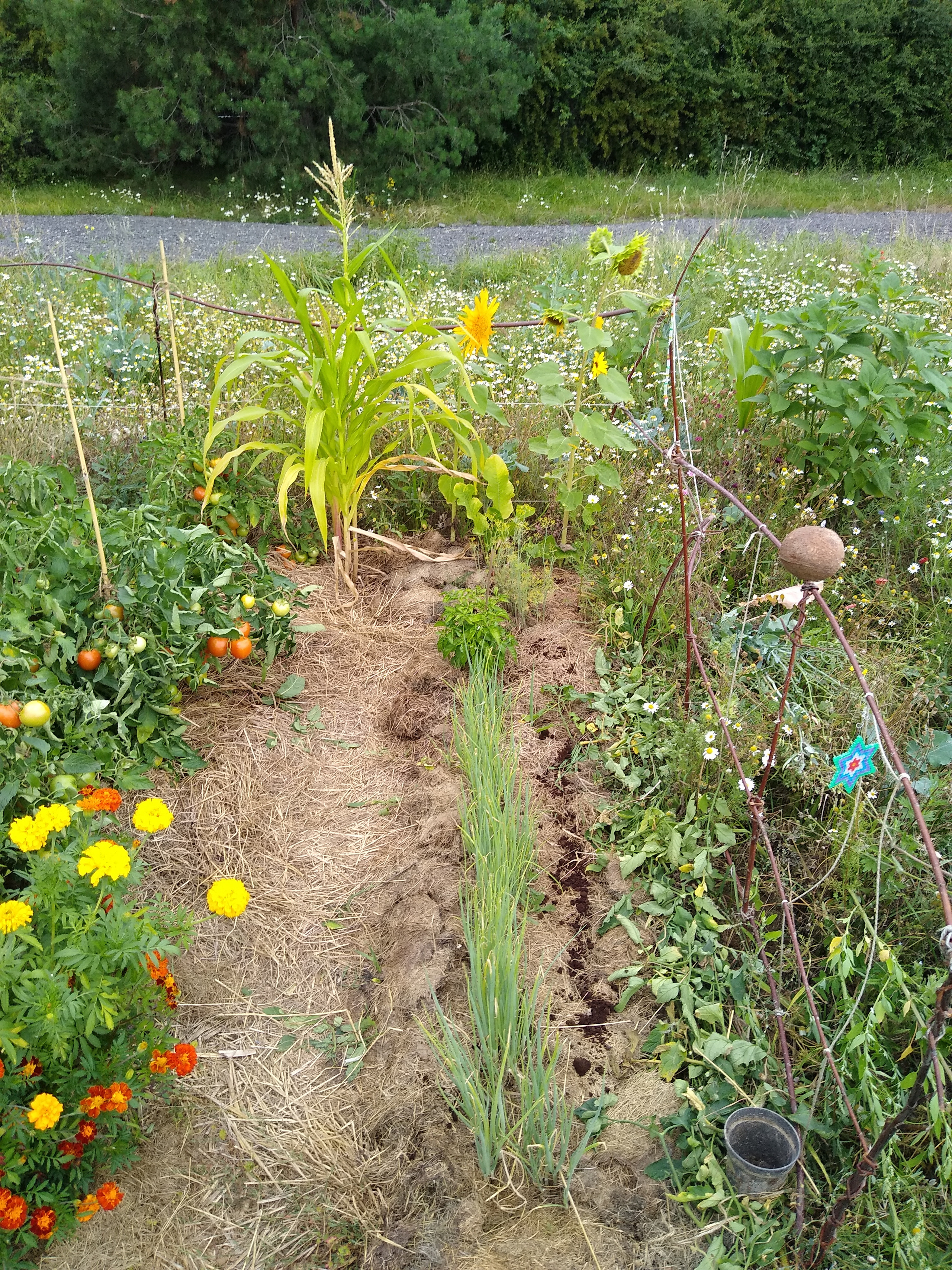 July. Kiki-Niki-Cha! Learn, play, and discover with us!