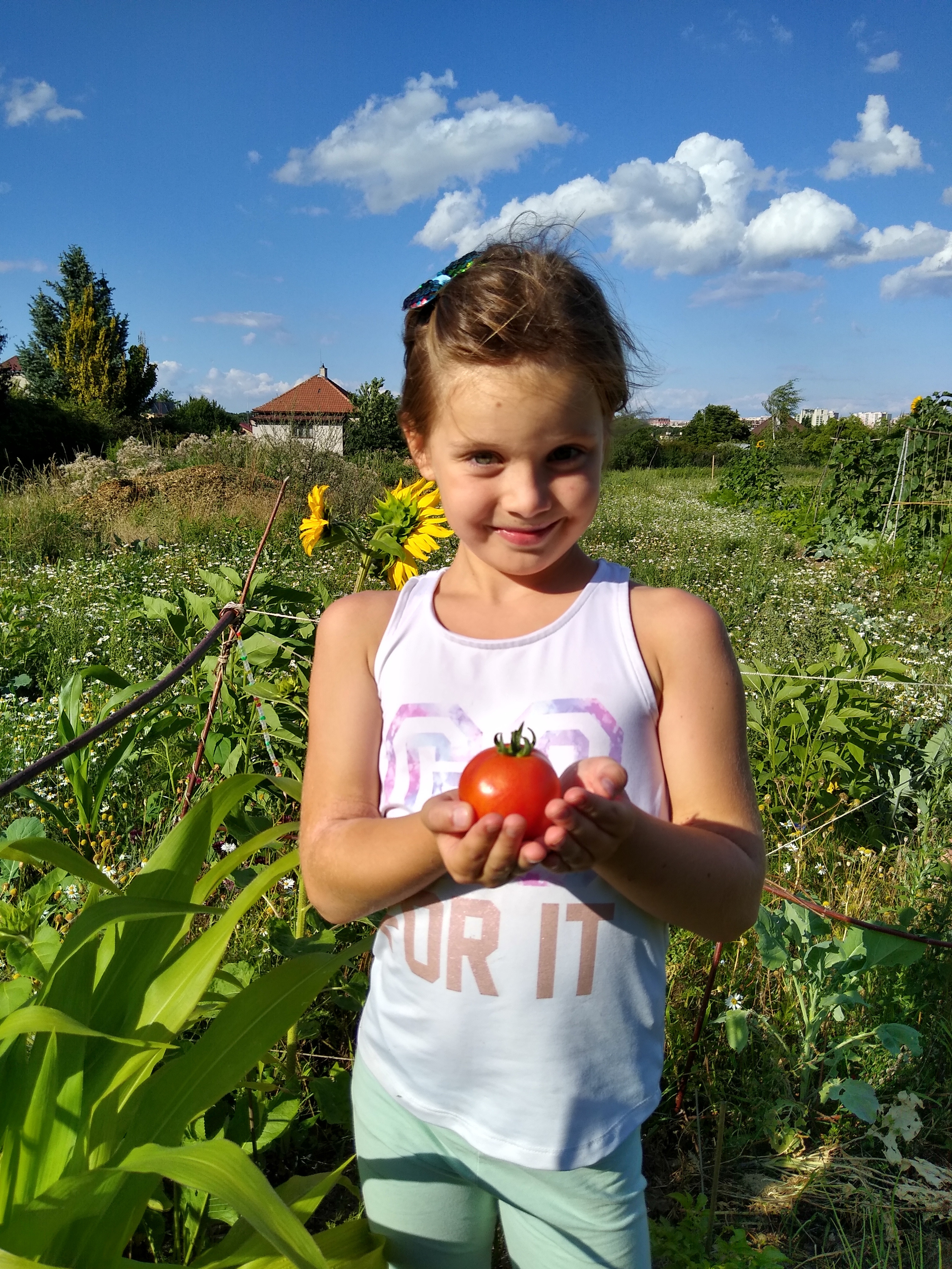 July. Kiki-Niki-Cha! Learn, play, and discover with us!