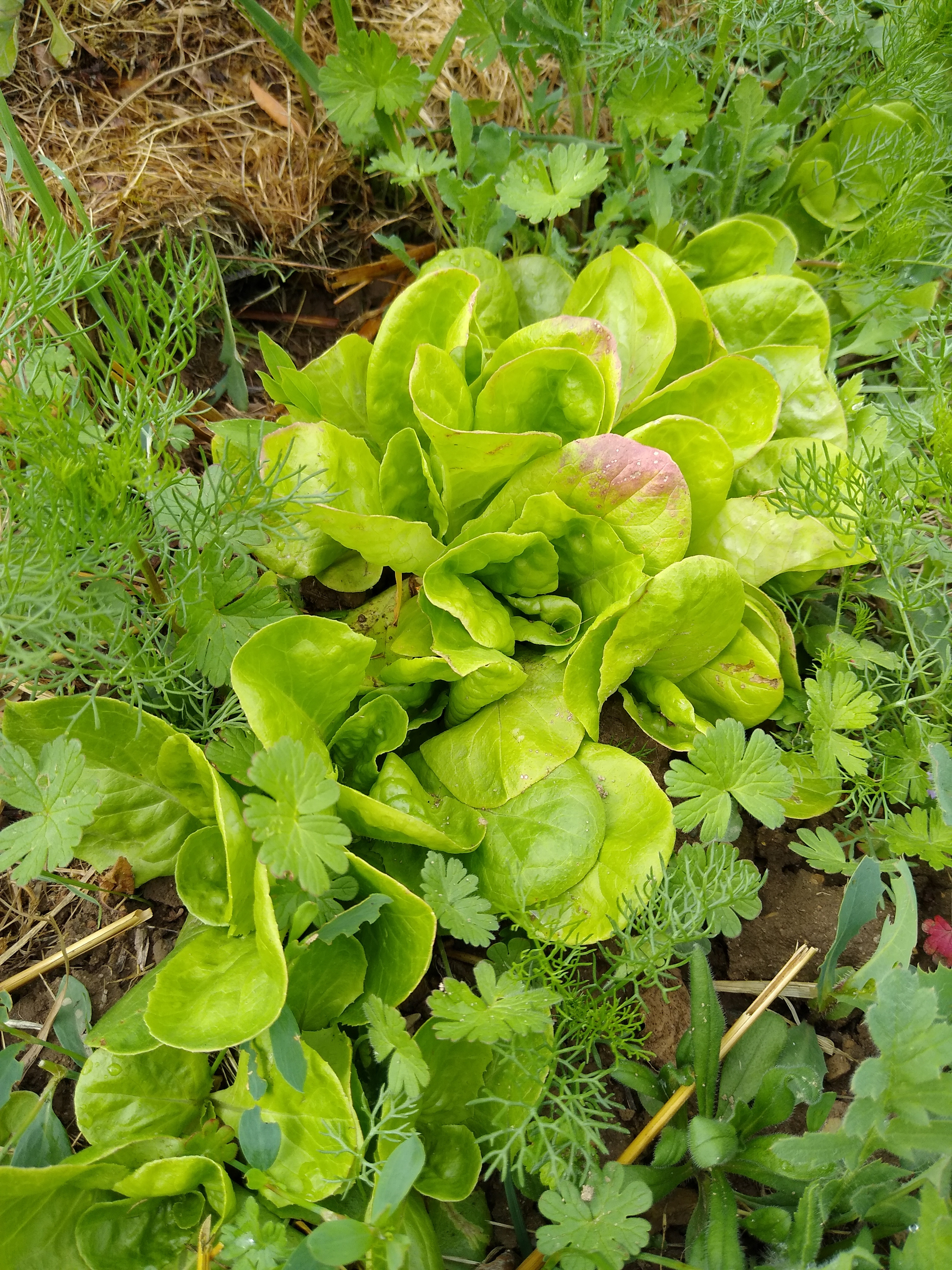 May. Kiki-Niki-Cha! Learn, play, and discover with us!