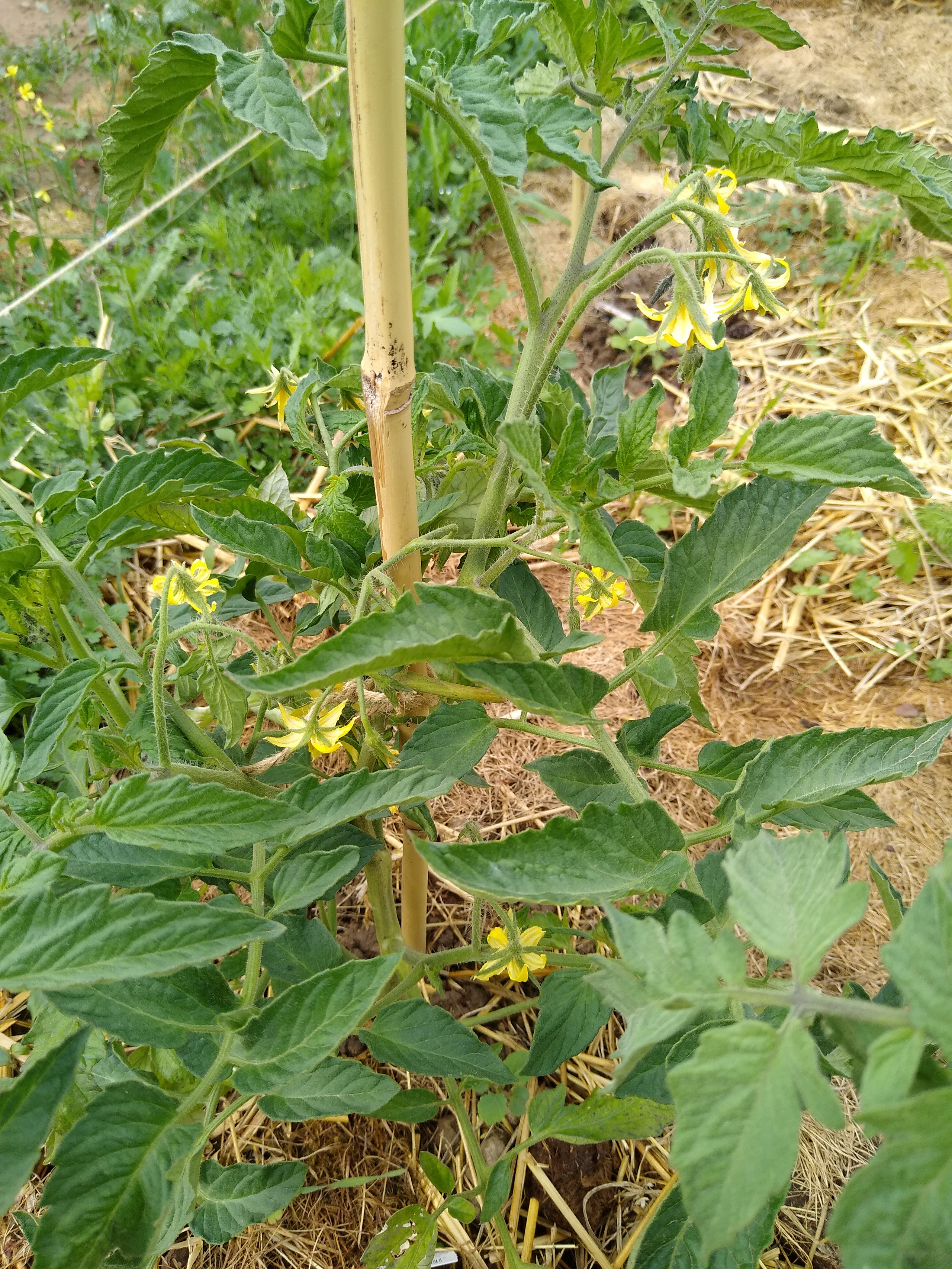 May. Kiki-Niki-Cha! Learn, play, and discover with us!