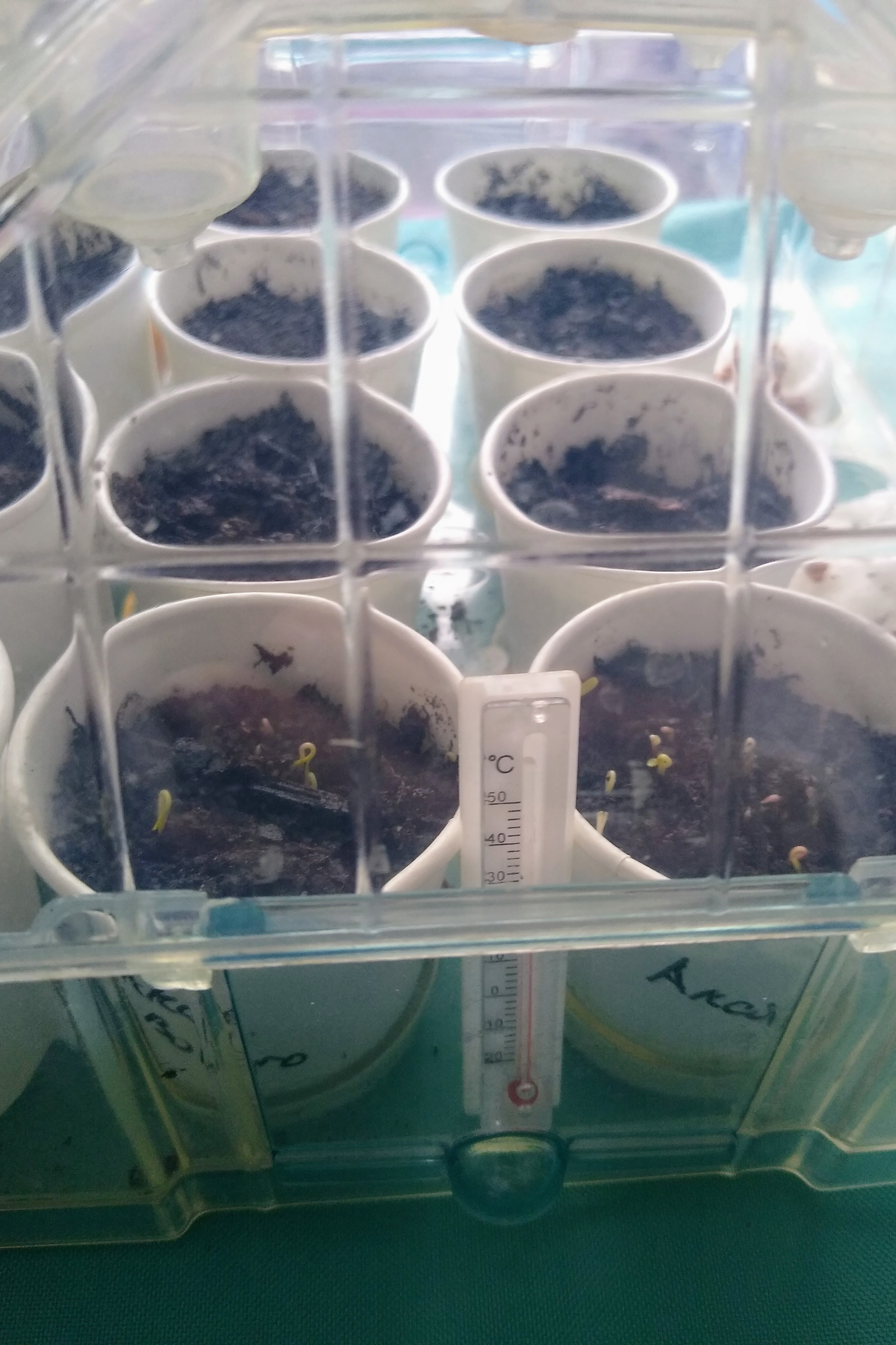 April. Kiki-Niki-Cha! Learn, play, and discover with us!