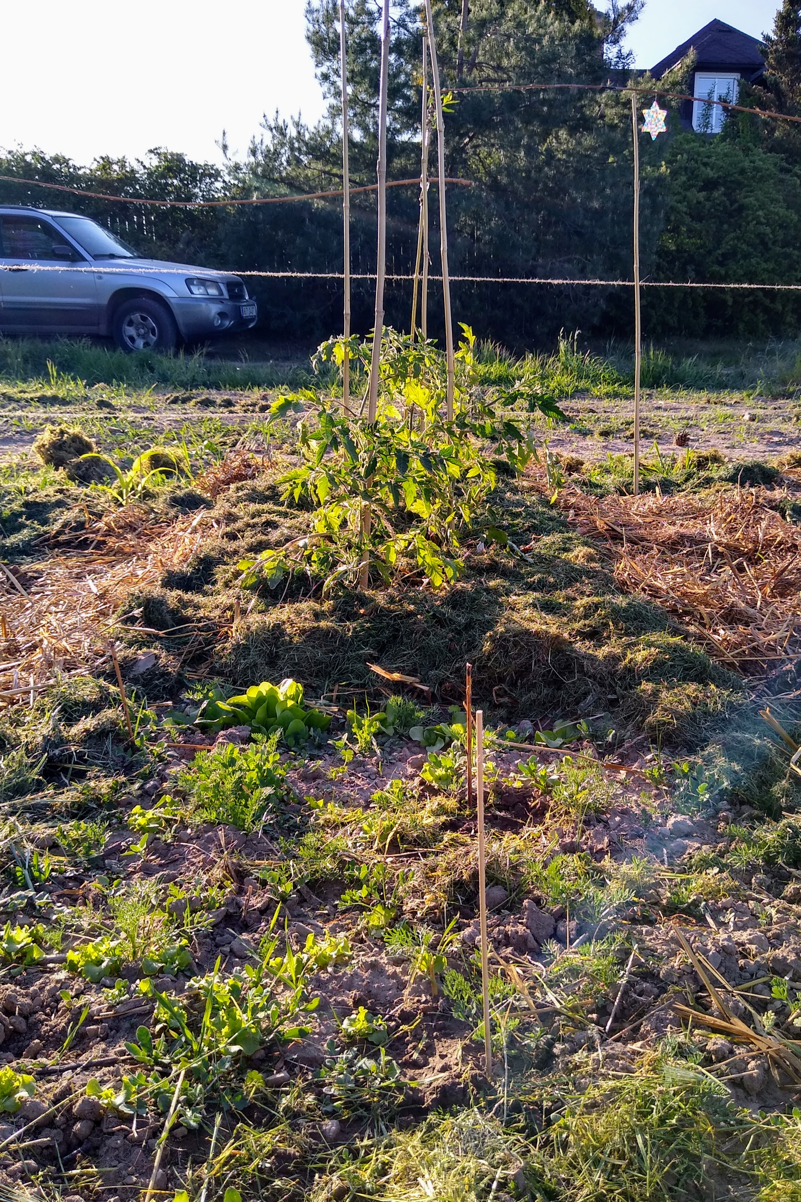 May. Kiki-Niki-Cha! Learn, play, and discover with us!