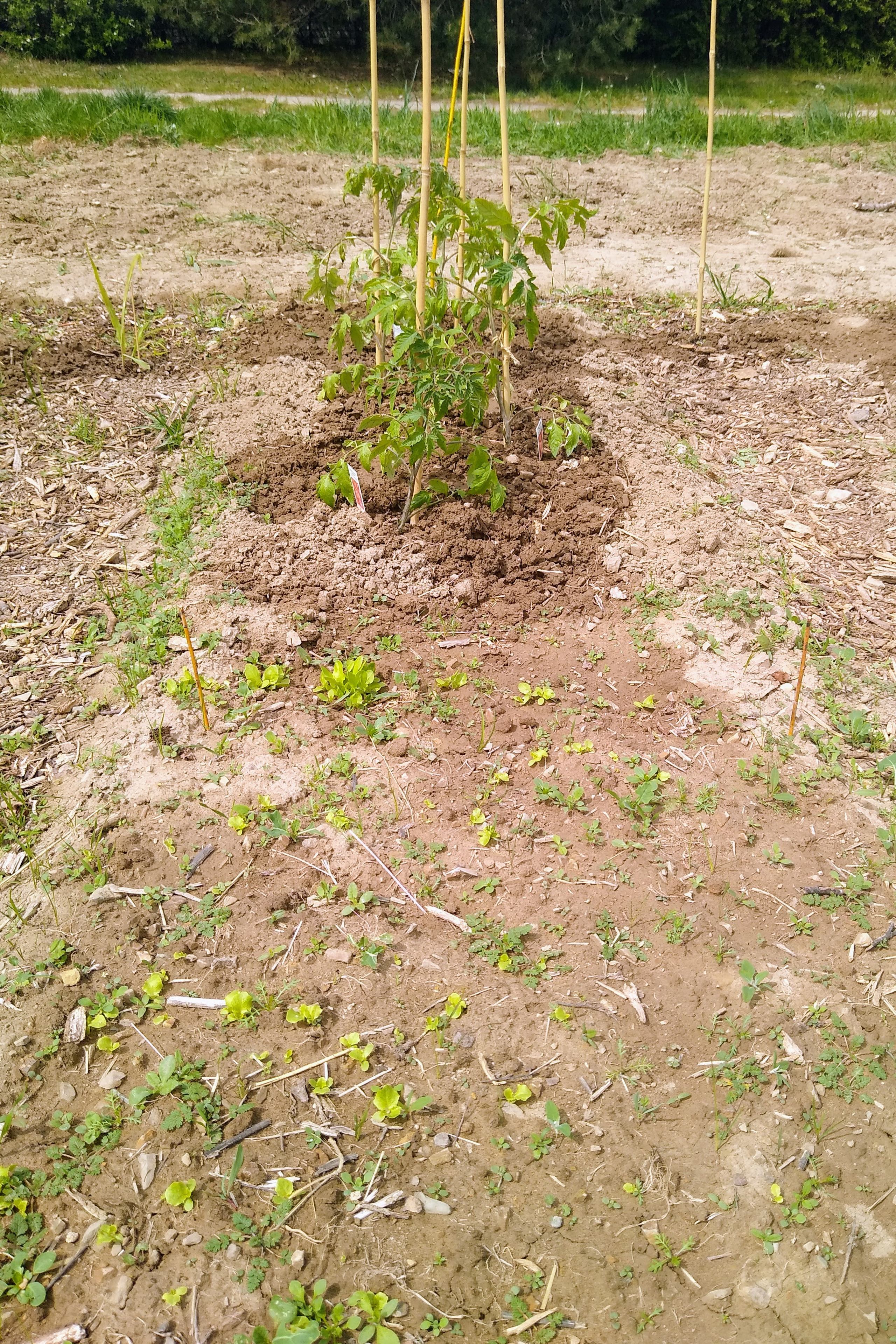 May. Kiki-Niki-Cha! Learn, play, and discover with us!