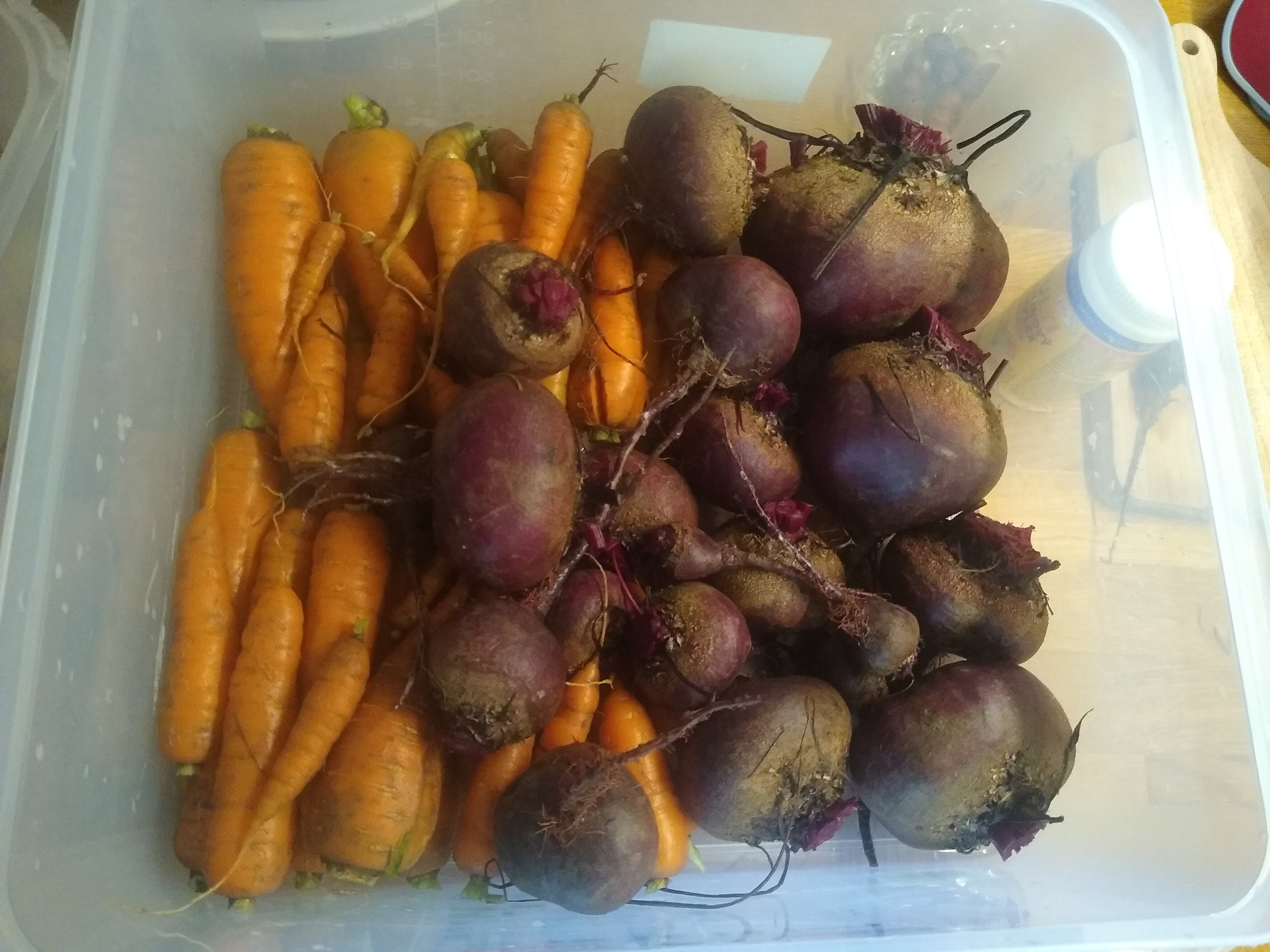 September. Kiki-Niki-Cha! Learn, play, and discover with us!