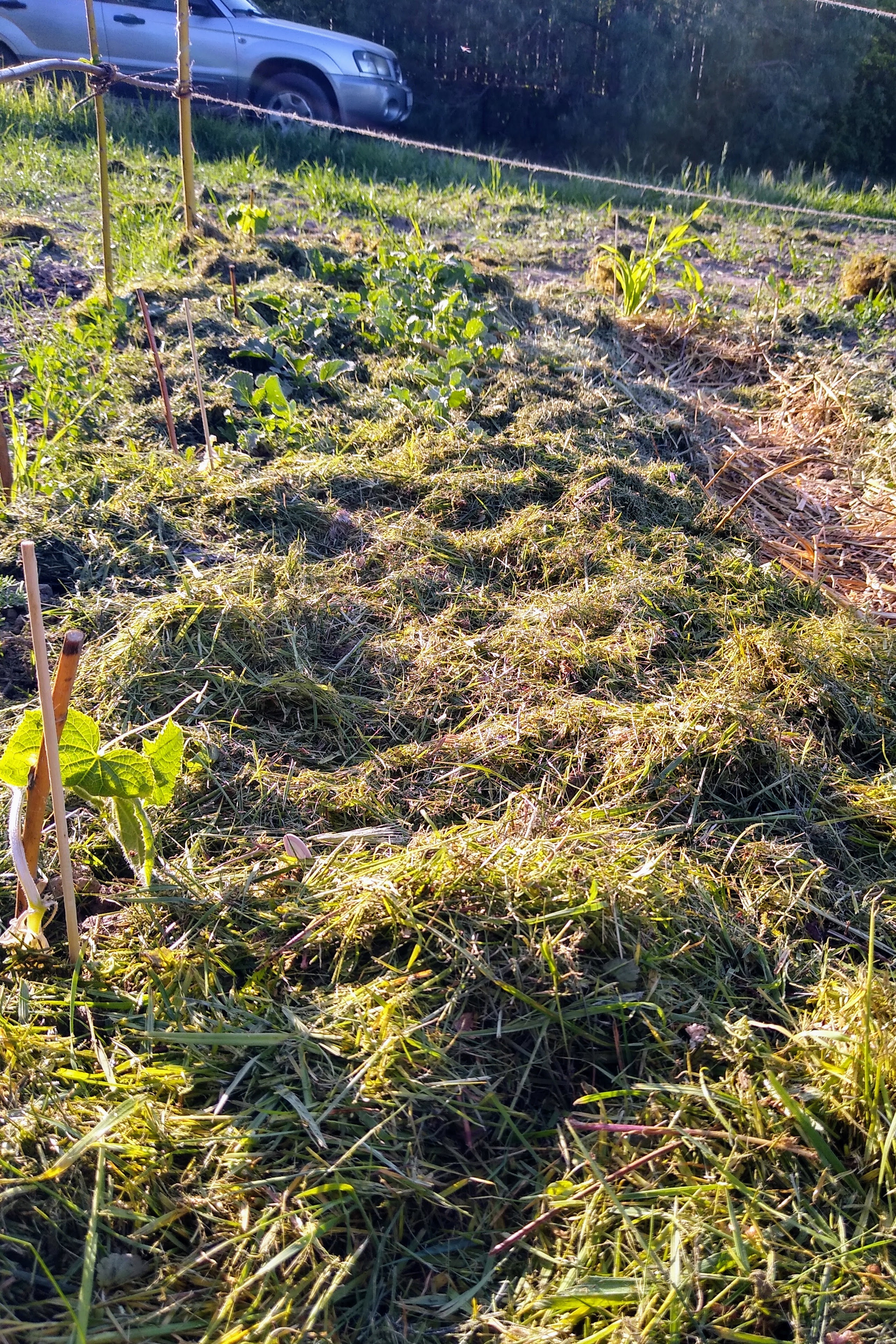 May. Kiki-Niki-Cha! Learn, play, and discover with us!