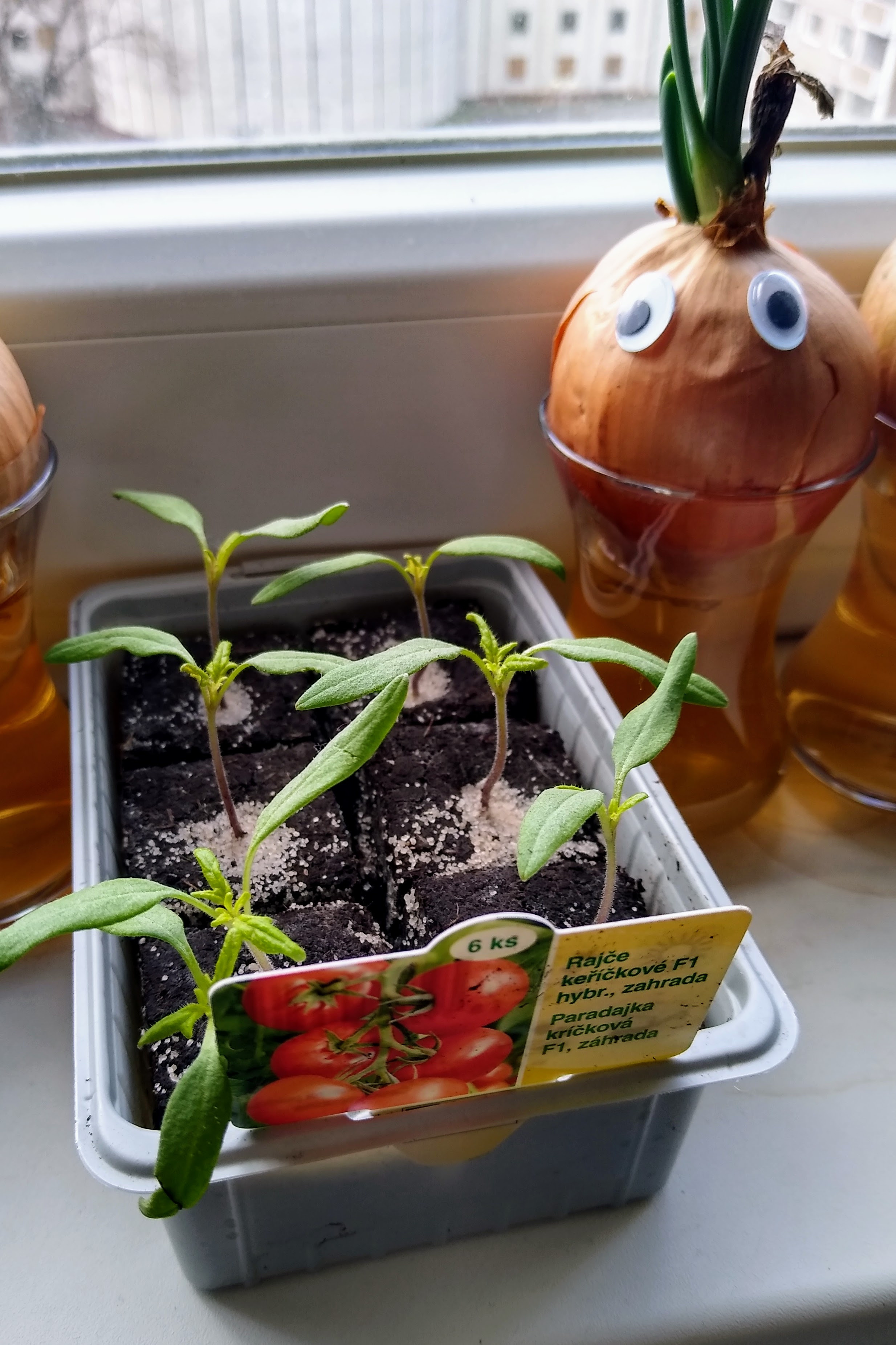 April. Kiki-Niki-Cha! Learn, play, and discover with us!