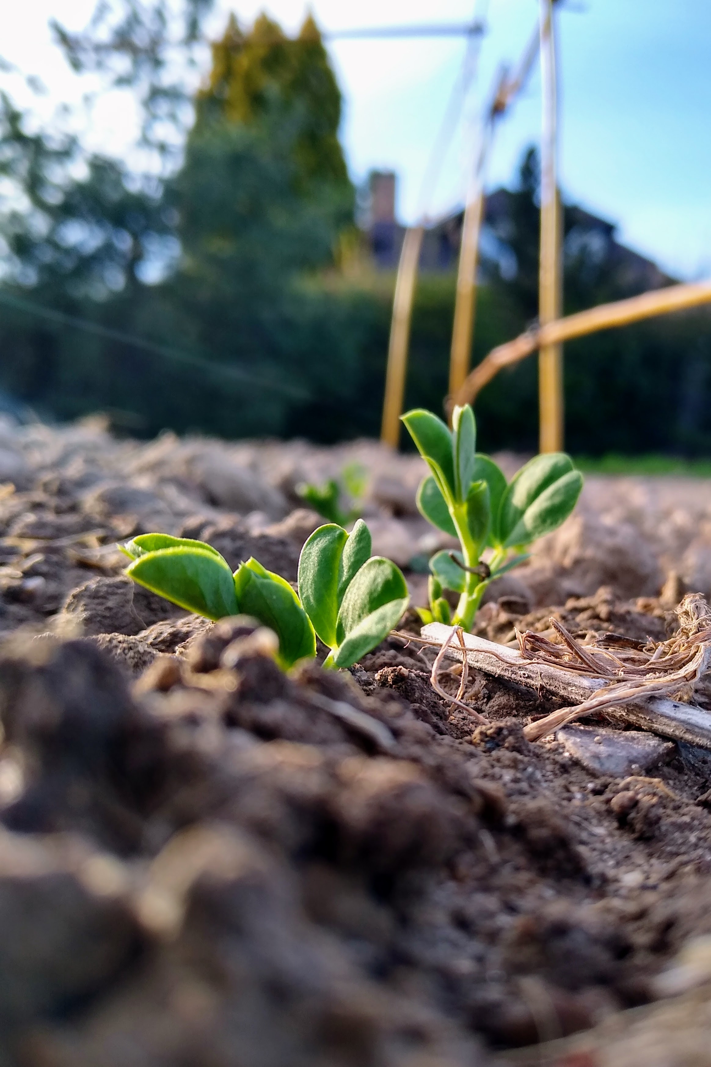 April. Kiki-Niki-Cha! Learn, play, and discover with us!