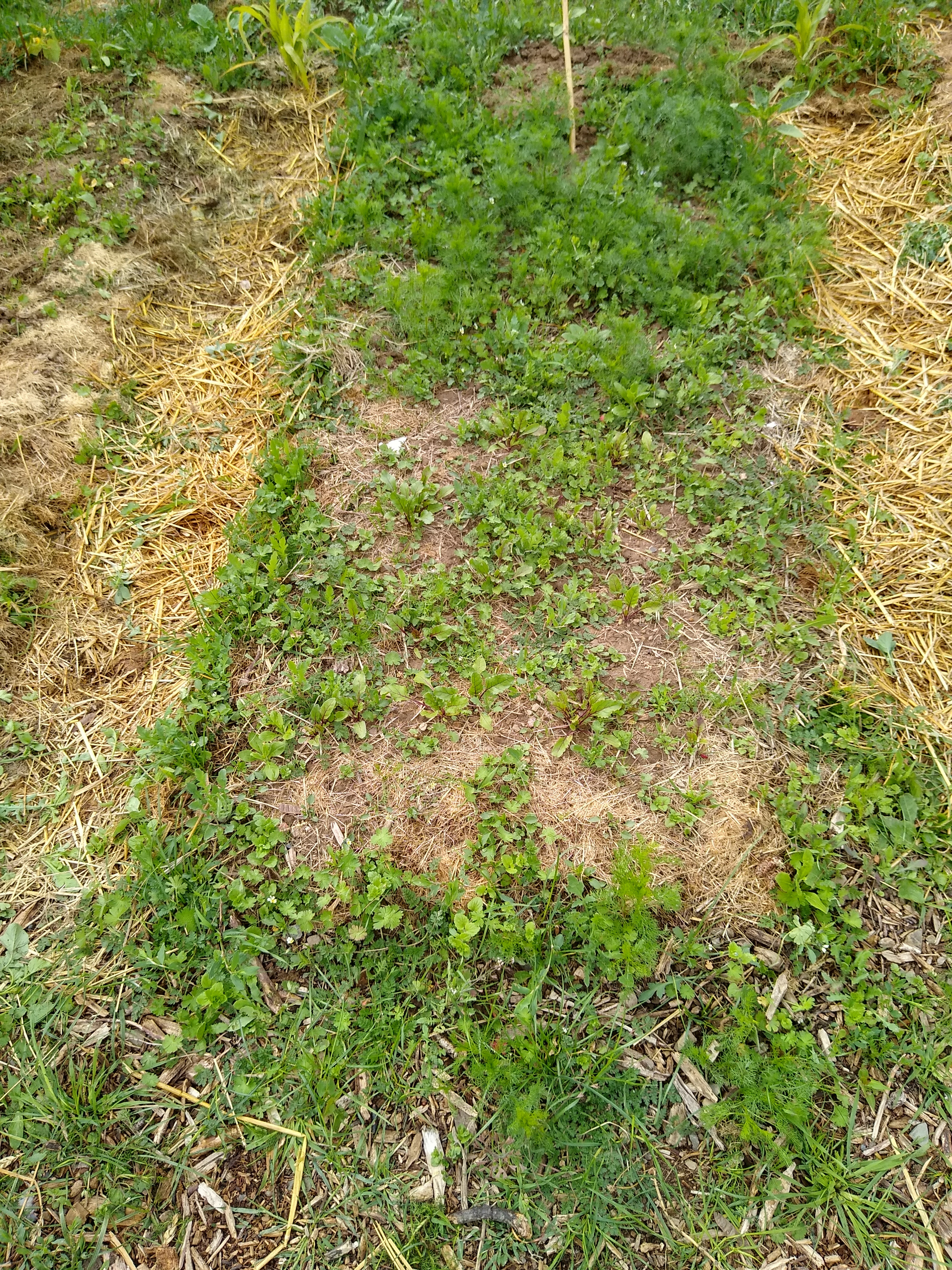 May. Kiki-Niki-Cha! Learn, play, and discover with us!