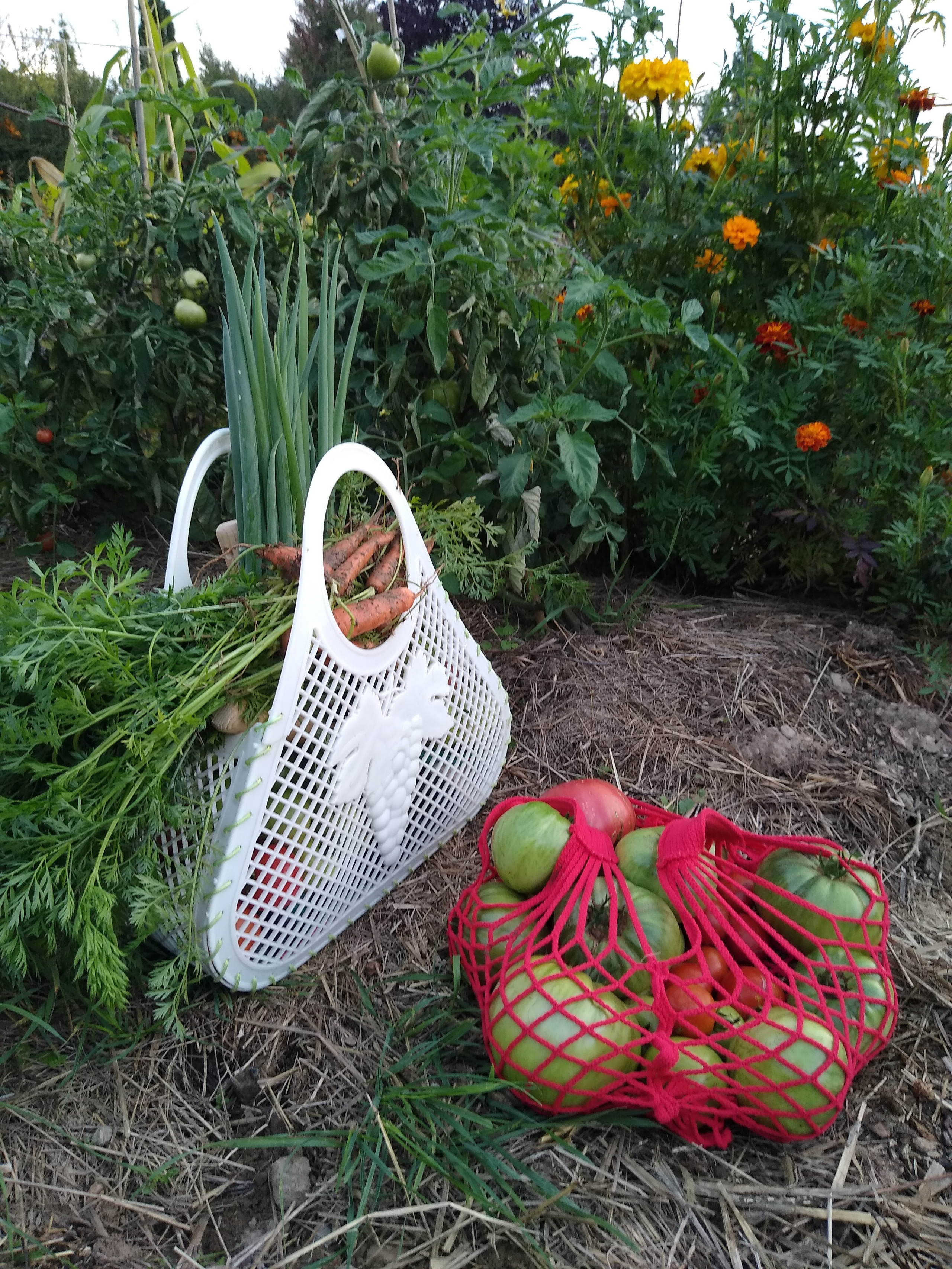 September. Kiki-Niki-Cha! Learn, play, and discover with us!