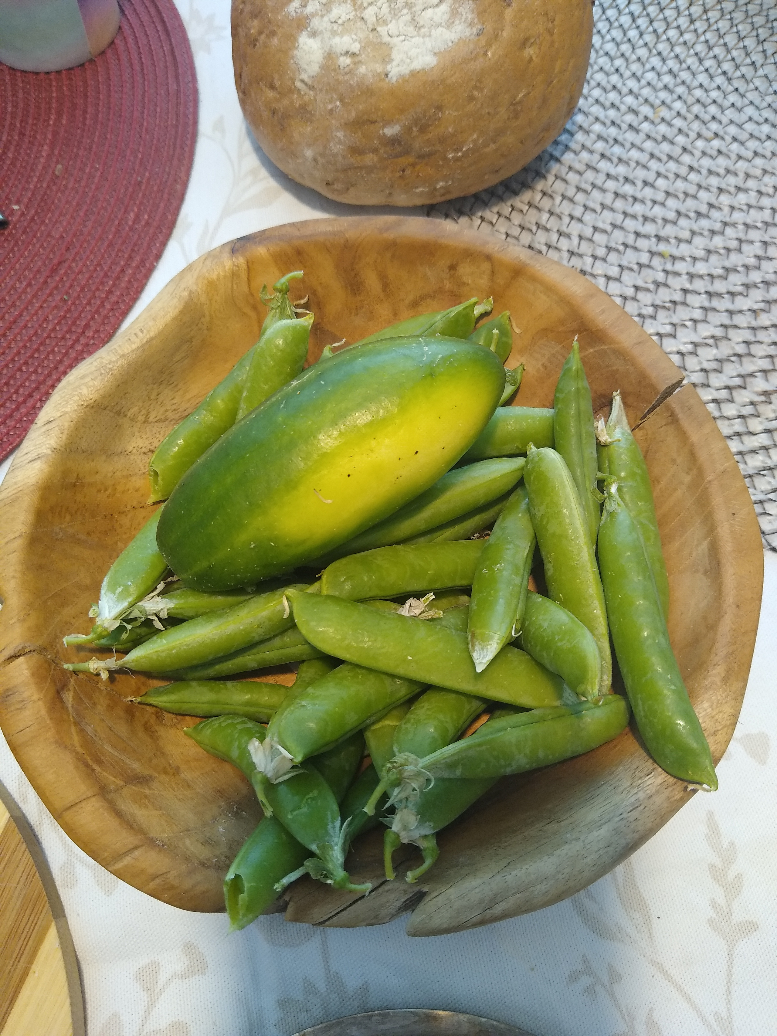 June. Kiki-Niki-Cha! Learn, play, and discover with us!