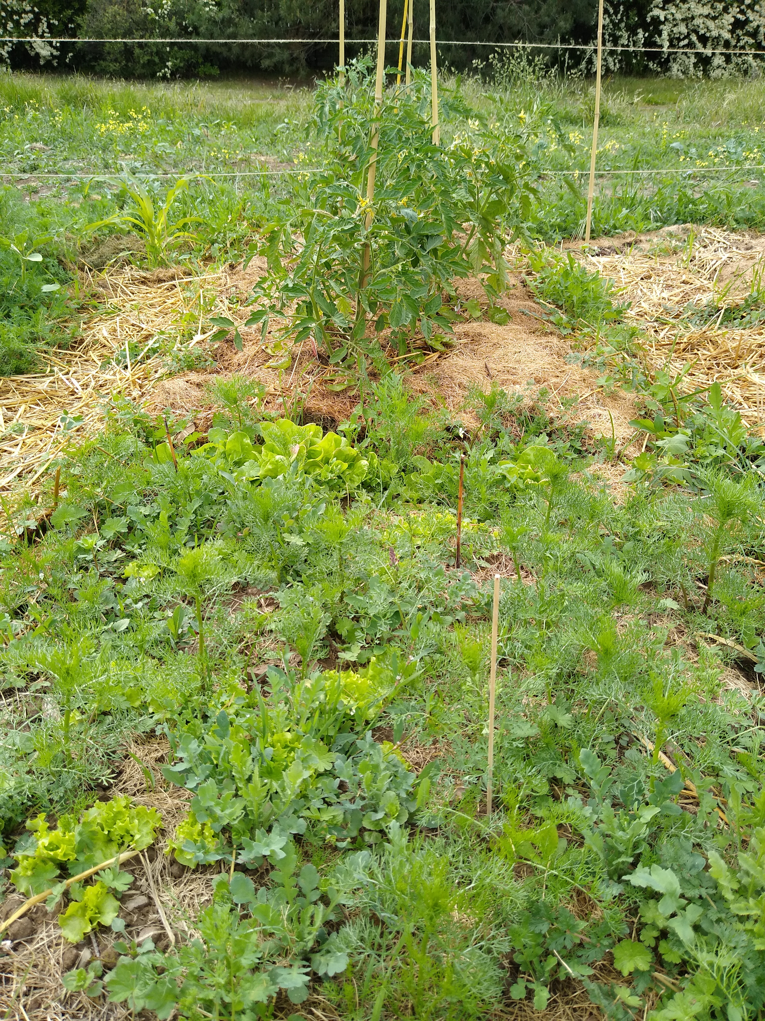 May. Kiki-Niki-Cha! Learn, play, and discover with us!