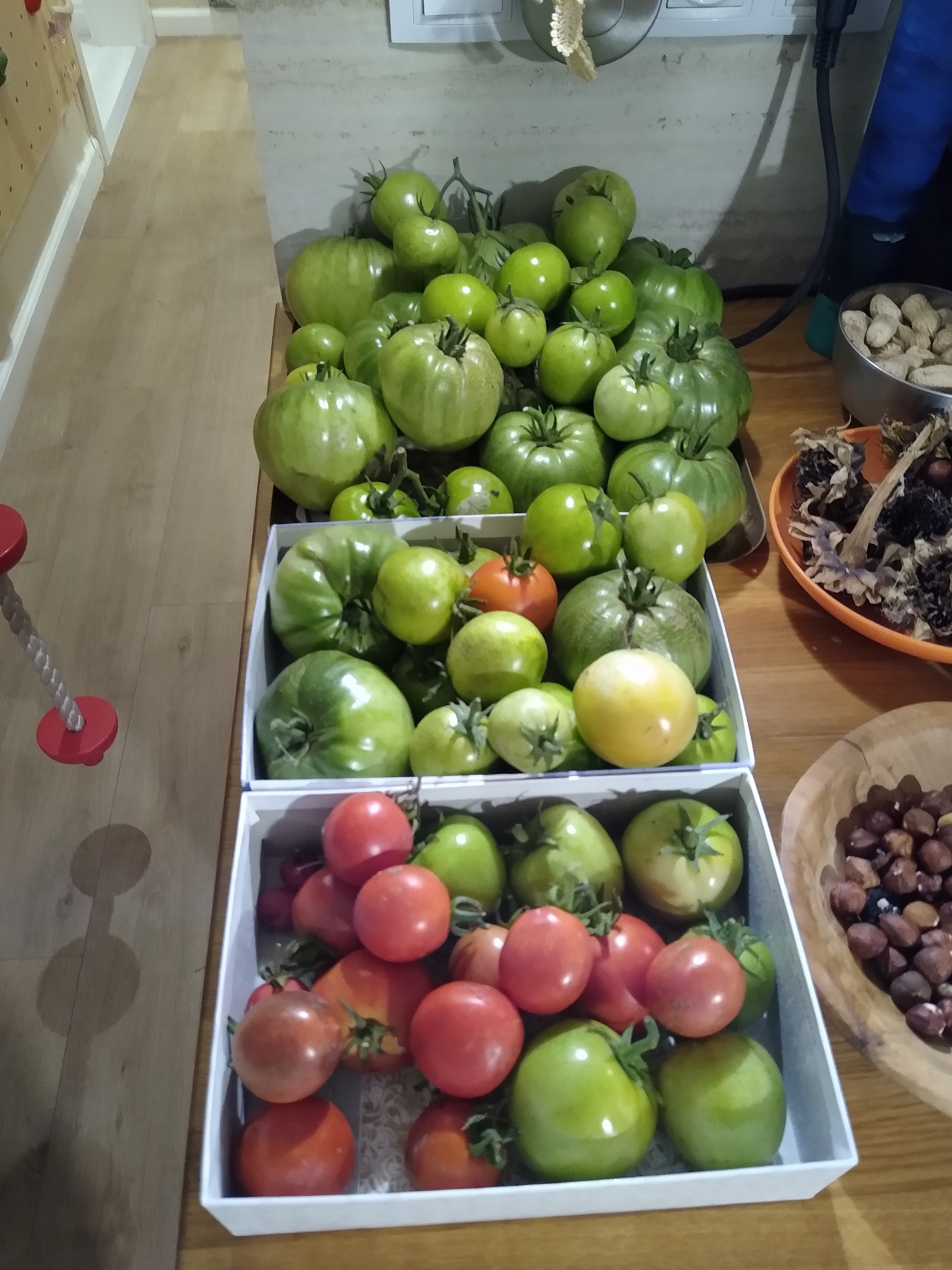 September. Kiki-Niki-Cha! Learn, play, and discover with us!