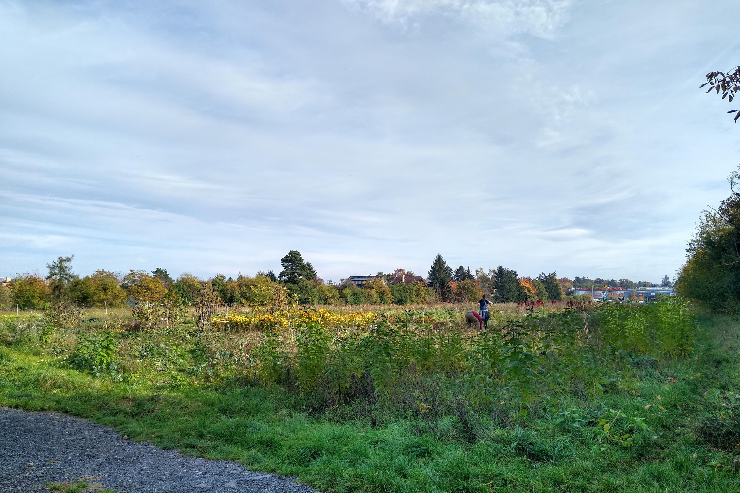 October. Kiki-Niki-Cha! Learn, play, and discover with us!