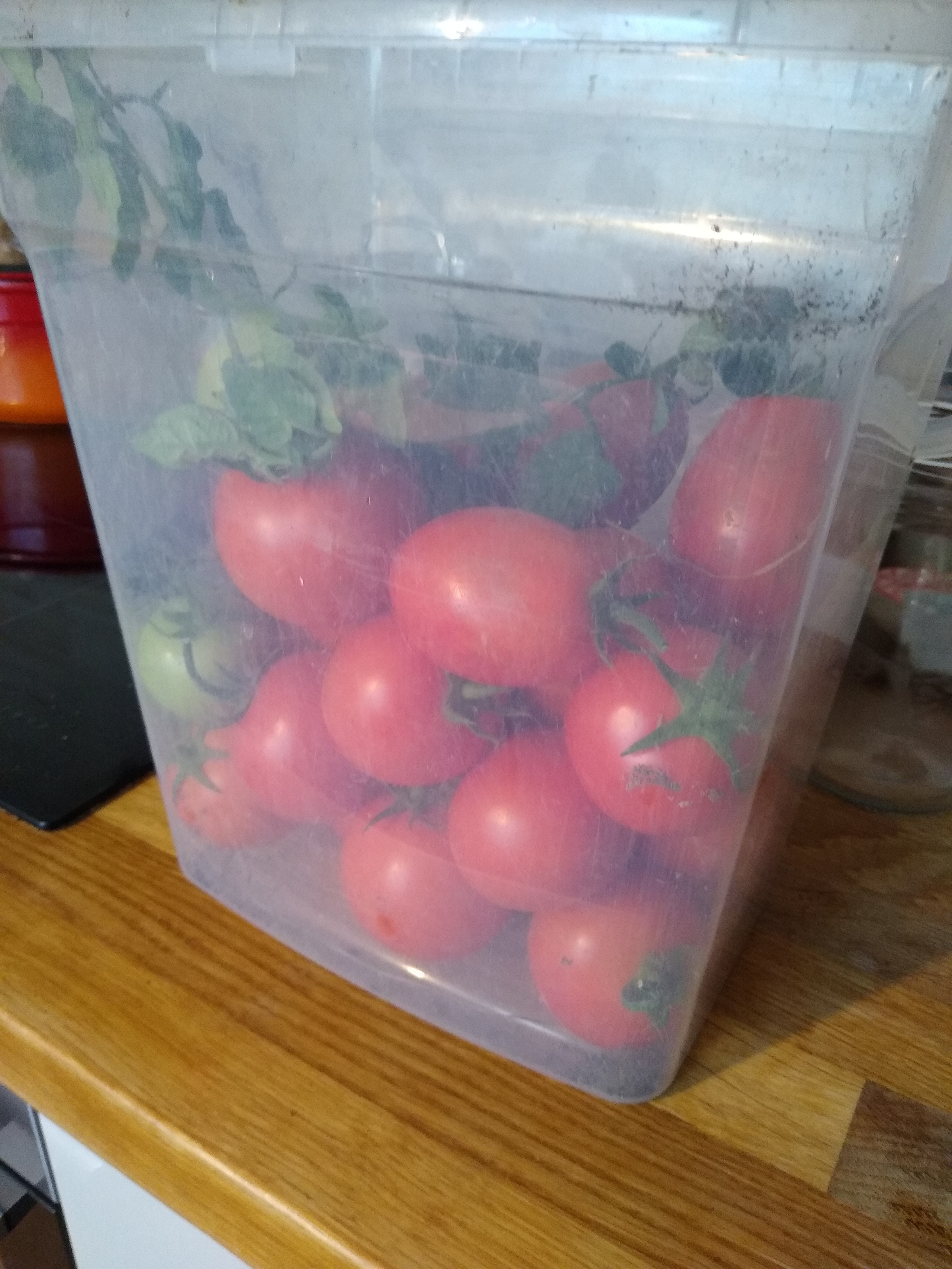 July. Kiki-Niki-Cha! Learn, play, and discover with us!