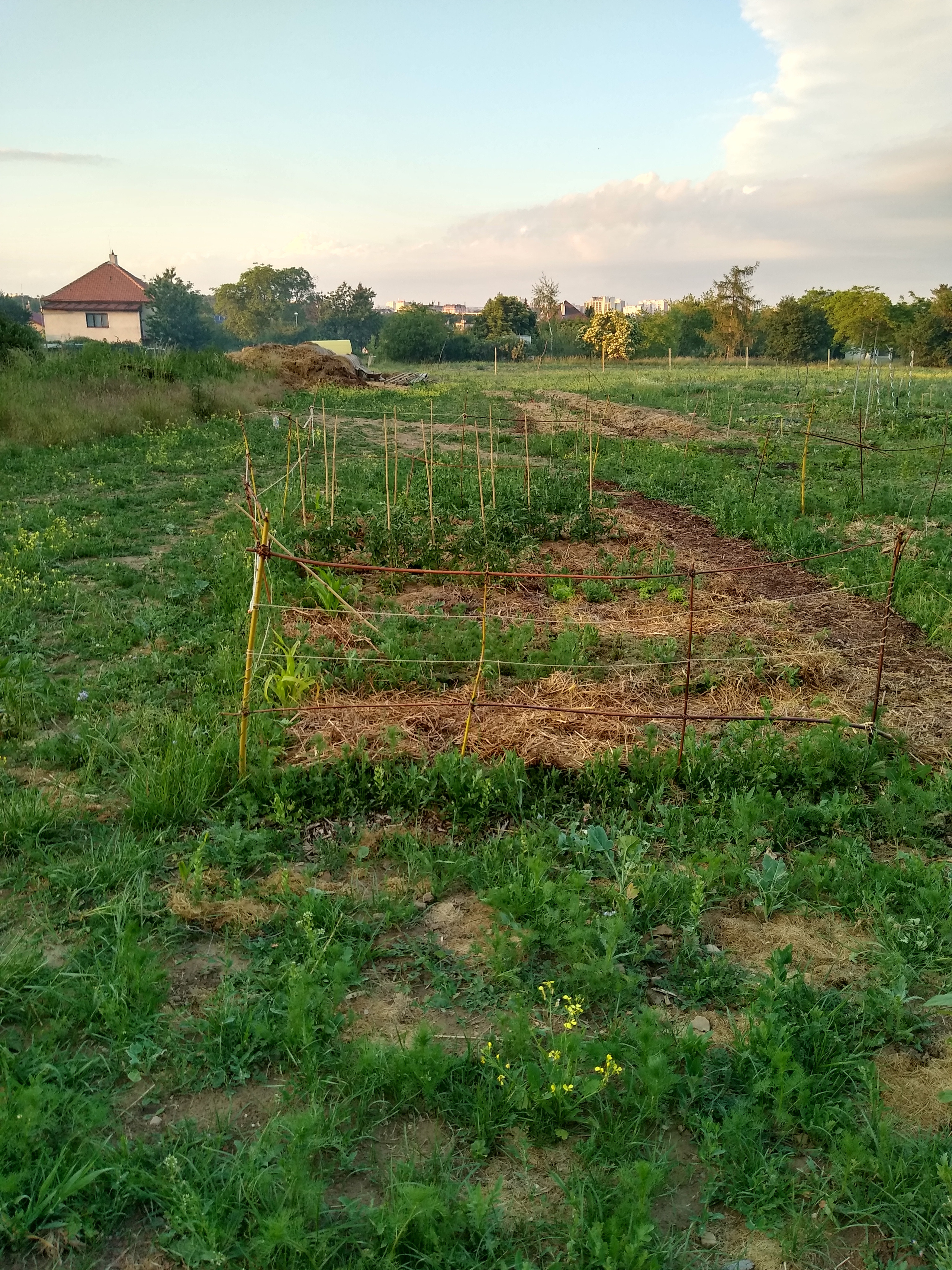 June. Kiki-Niki-Cha! Learn, play, and discover with us!