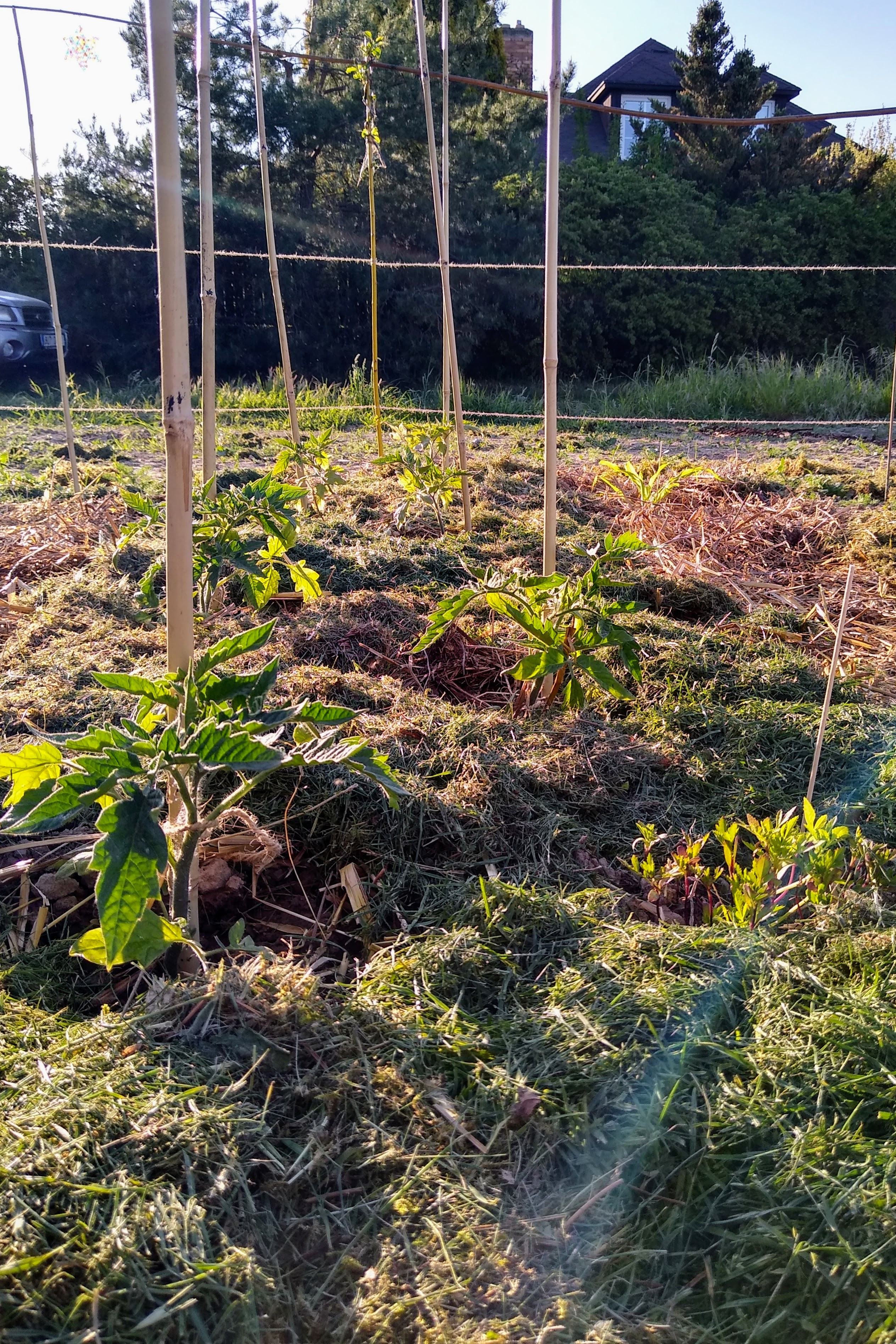 May. Kiki-Niki-Cha! Learn, play, and discover with us!