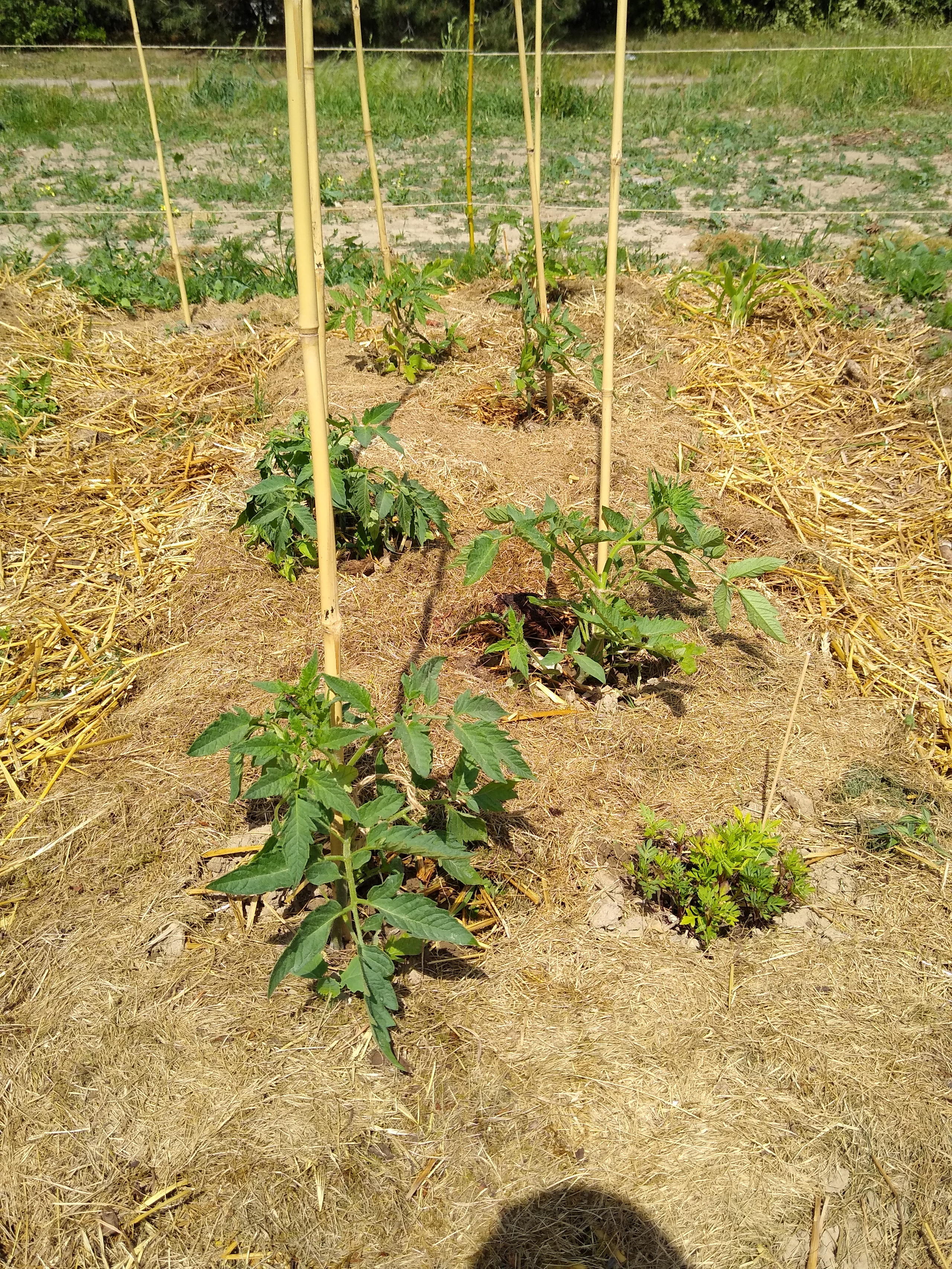 May. Kiki-Niki-Cha! Learn, play, and discover with us!