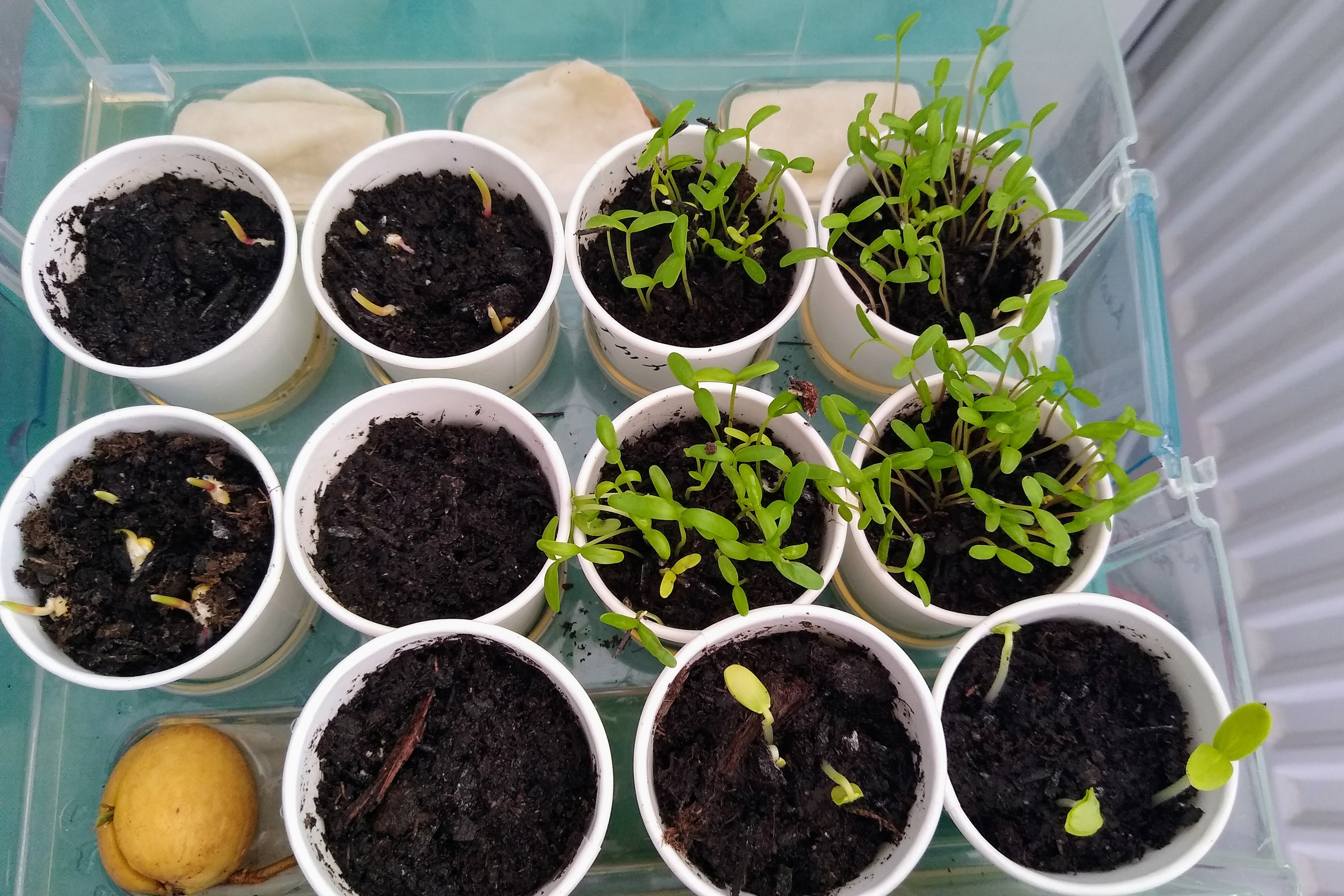 April. Kiki-Niki-Cha! Learn, play, and discover with us!