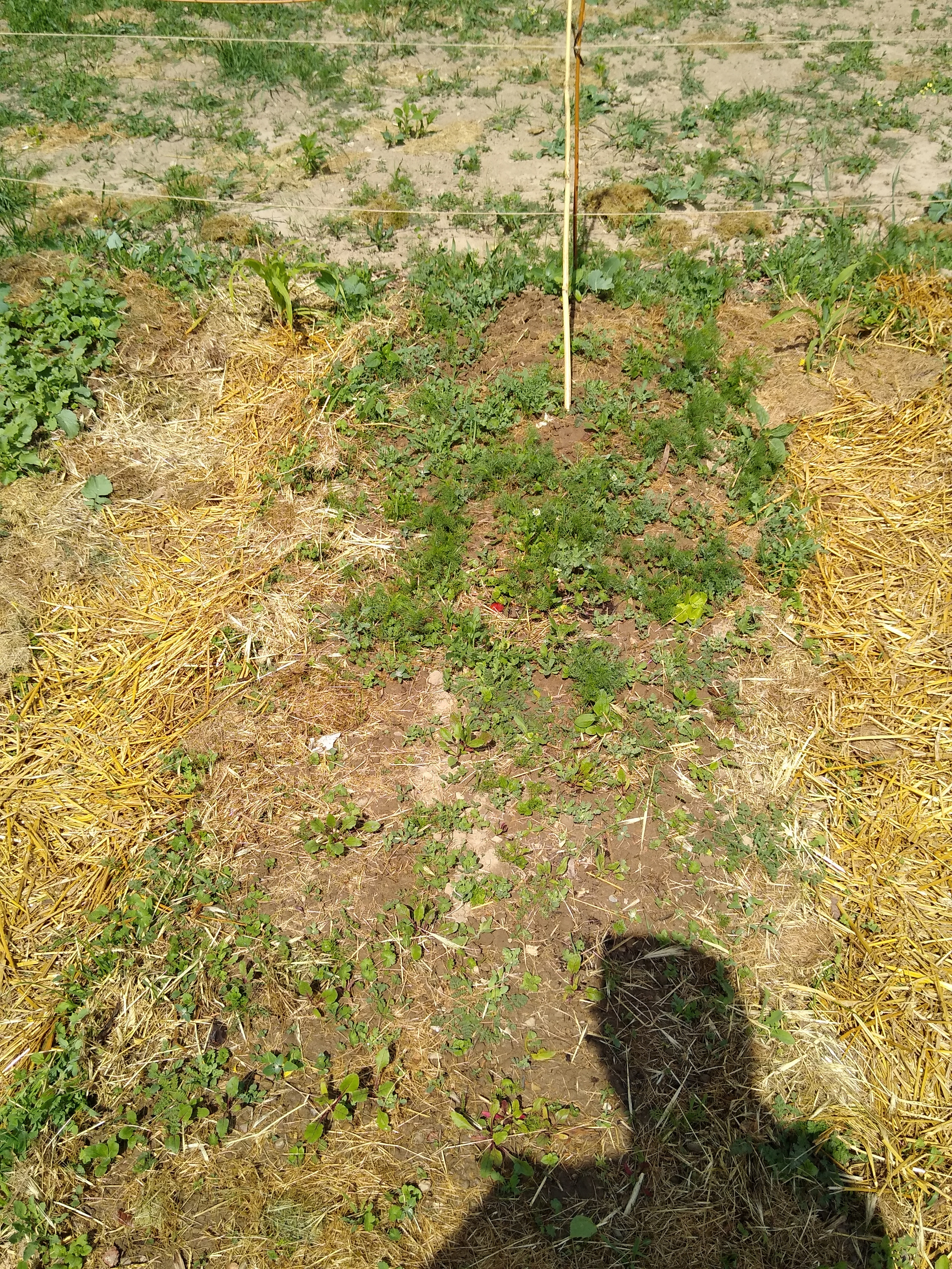 May. Kiki-Niki-Cha! Learn, play, and discover with us!