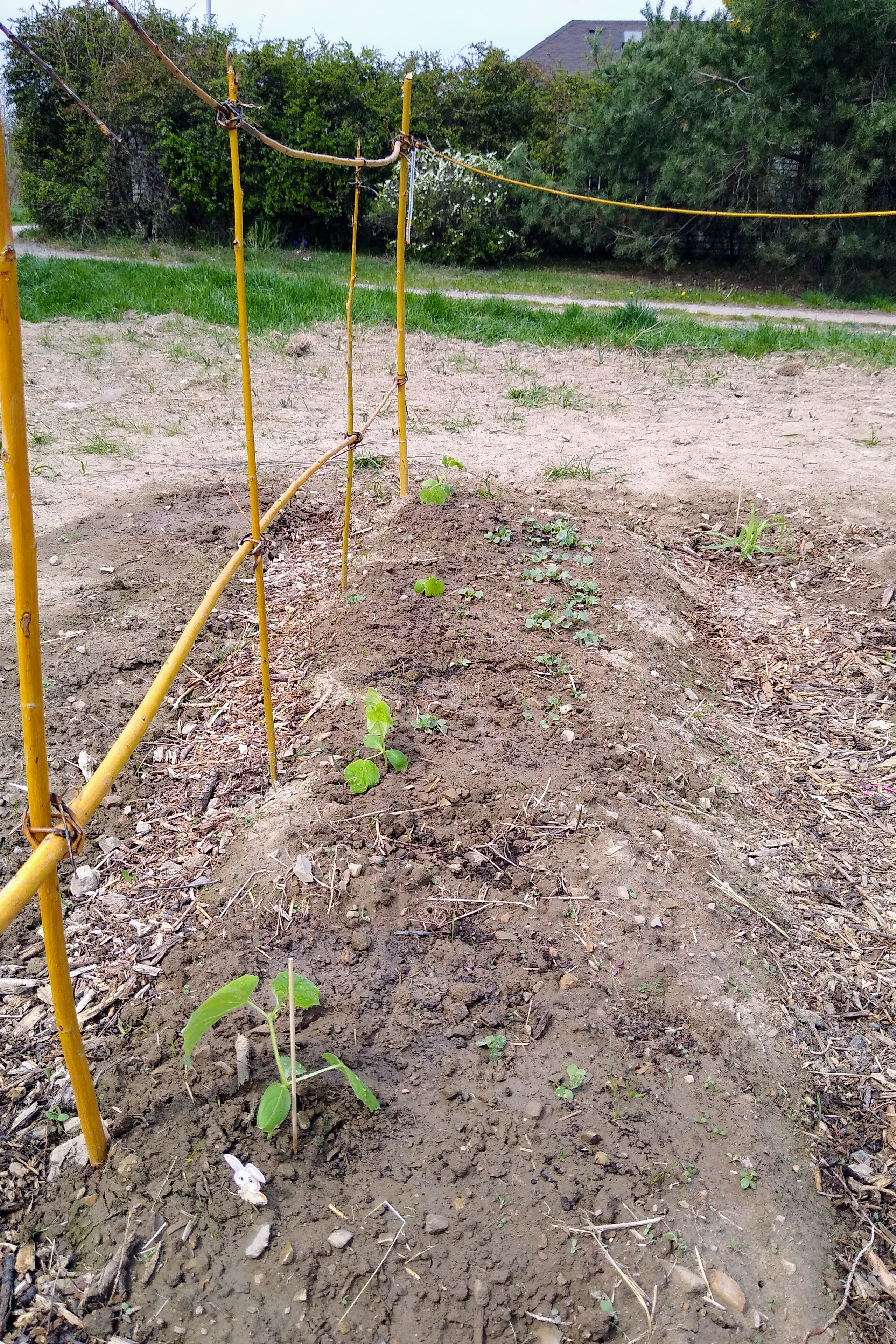 May. Kiki-Niki-Cha! Learn, play, and discover with us!