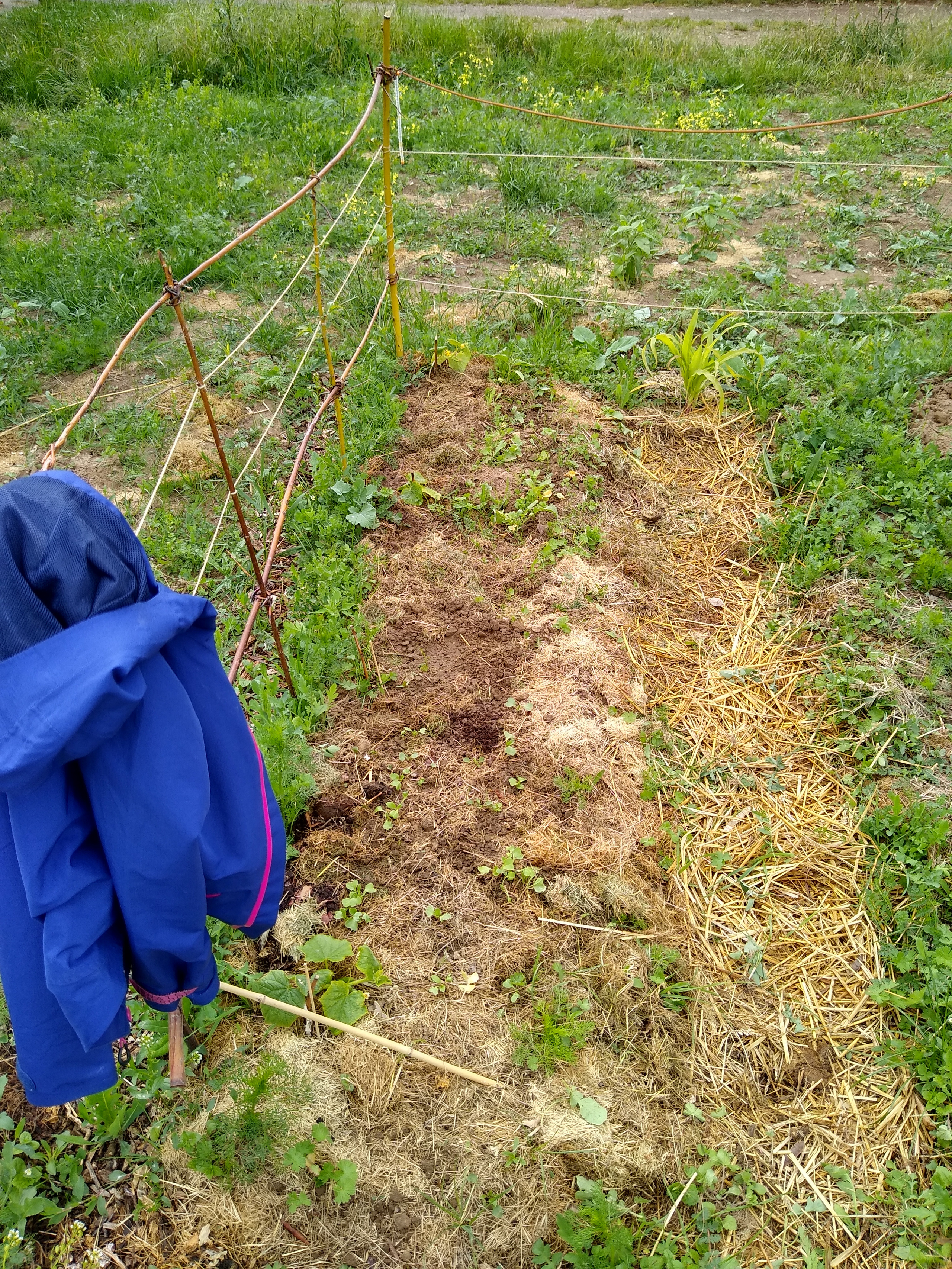 May. Kiki-Niki-Cha! Learn, play, and discover with us!