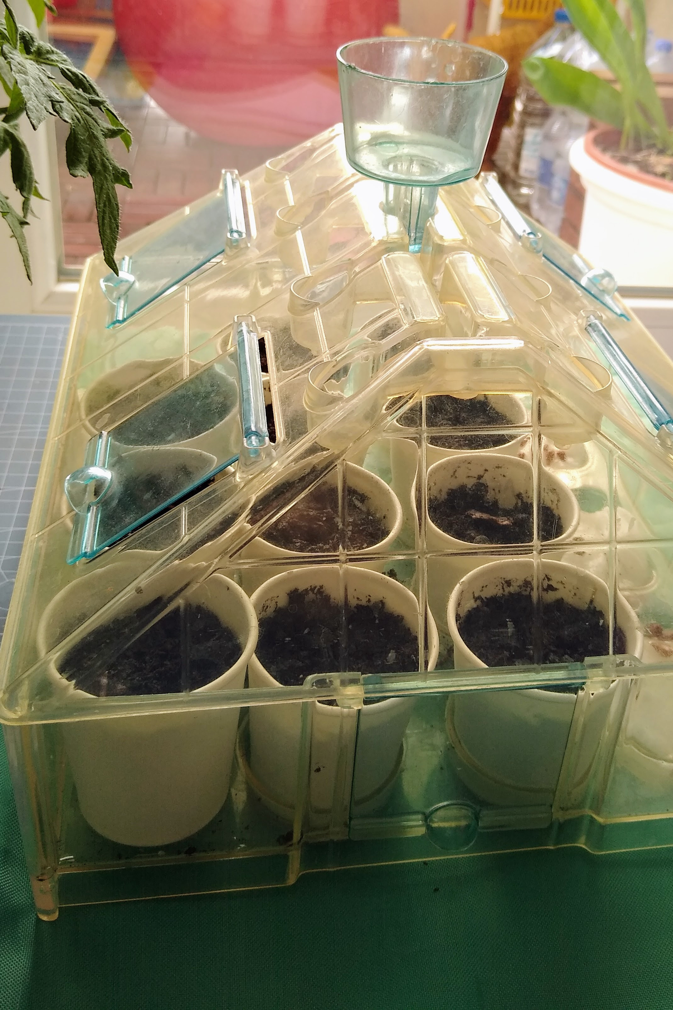 April. Kiki-Niki-Cha! Learn, play, and discover with us!