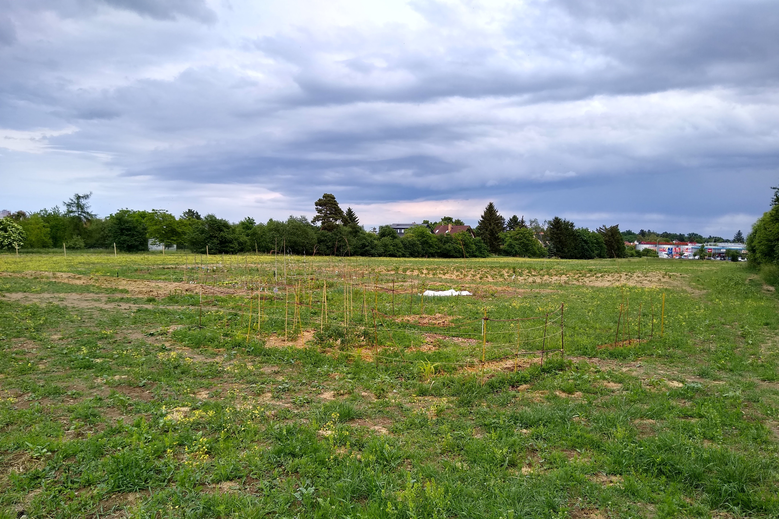 May. Kiki-Niki-Cha! Learn, play, and discover with us!