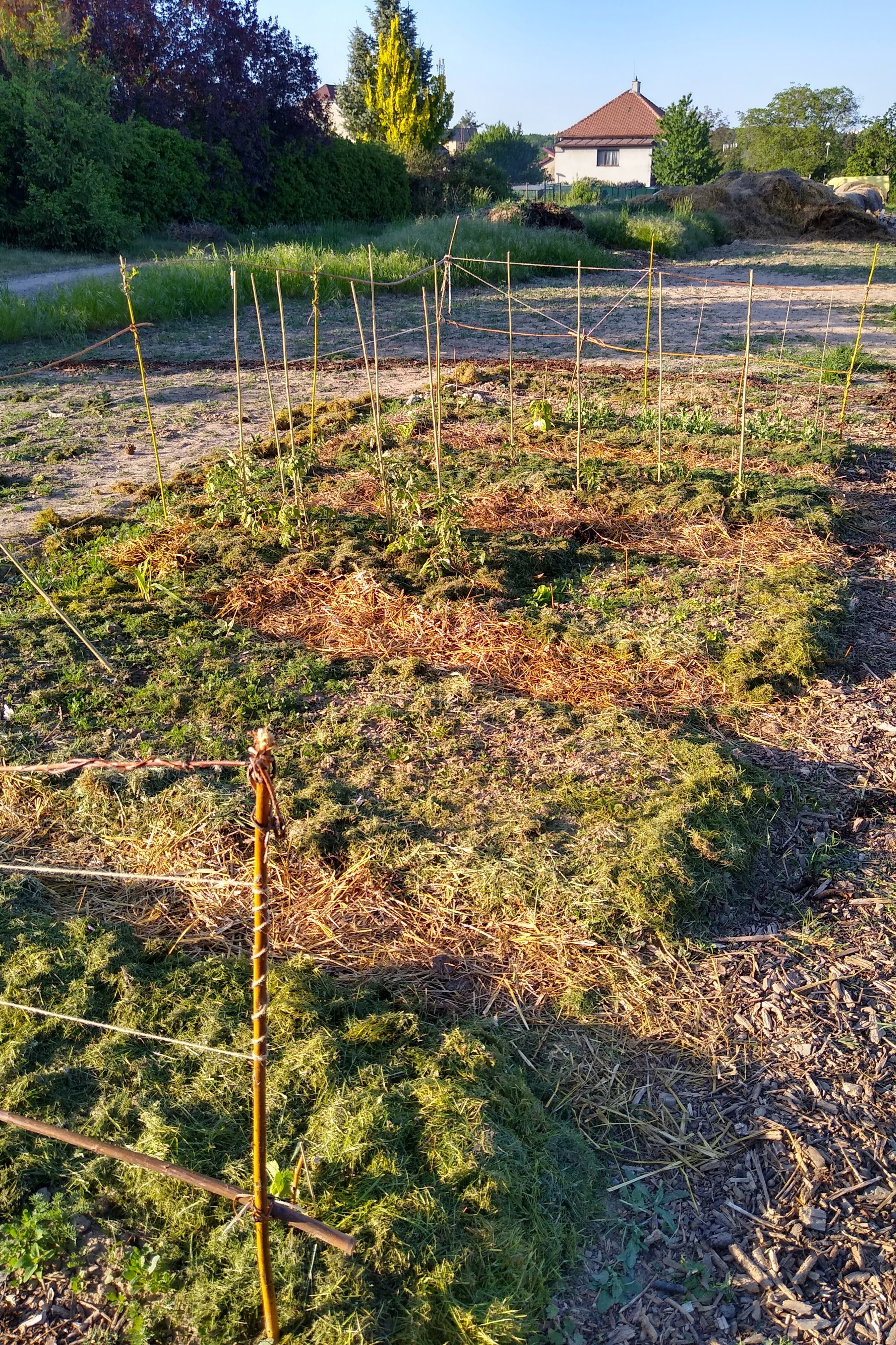 May. Kiki-Niki-Cha! Learn, play, and discover with us!