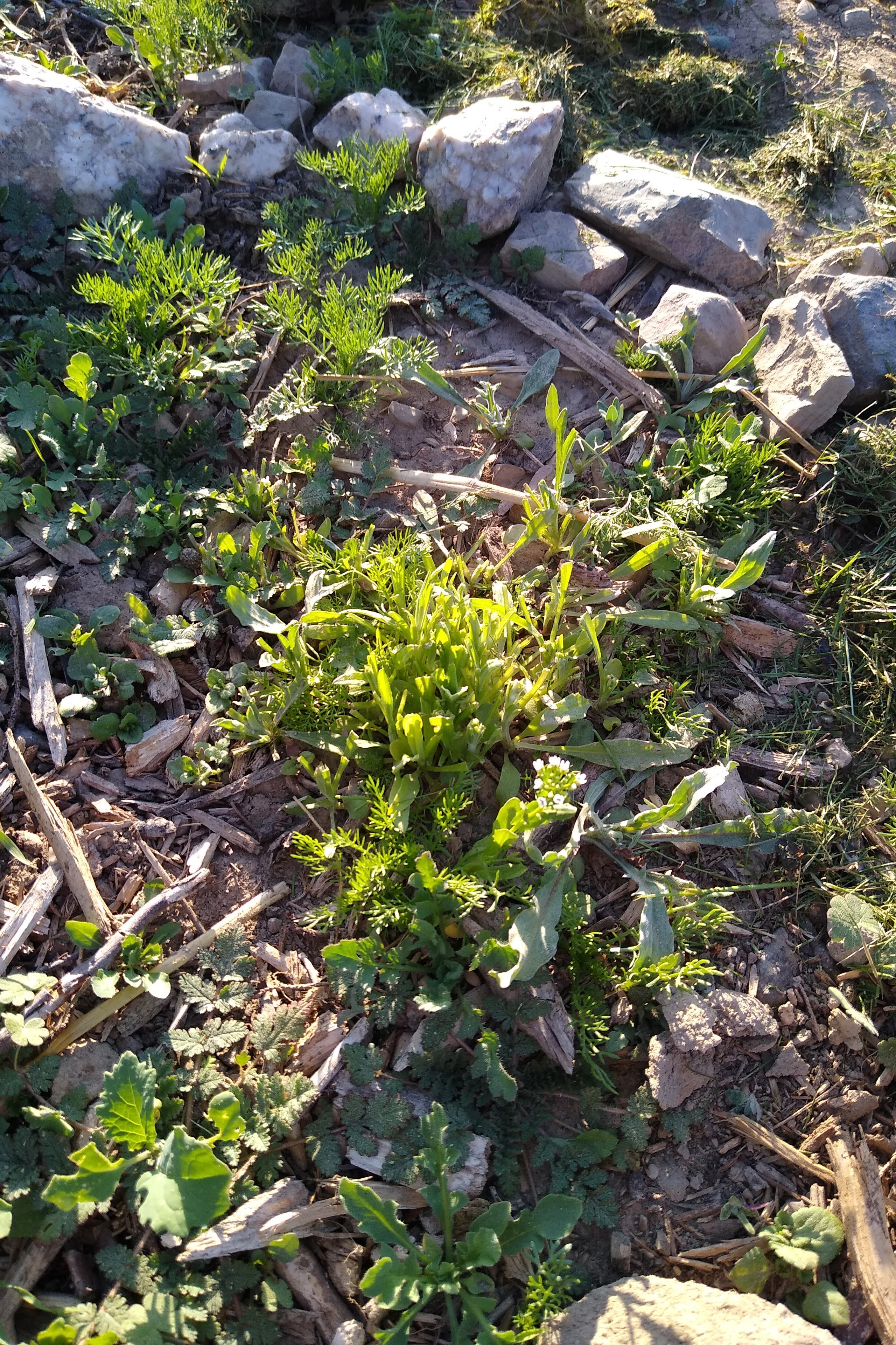 May. Kiki-Niki-Cha! Learn, play, and discover with us!