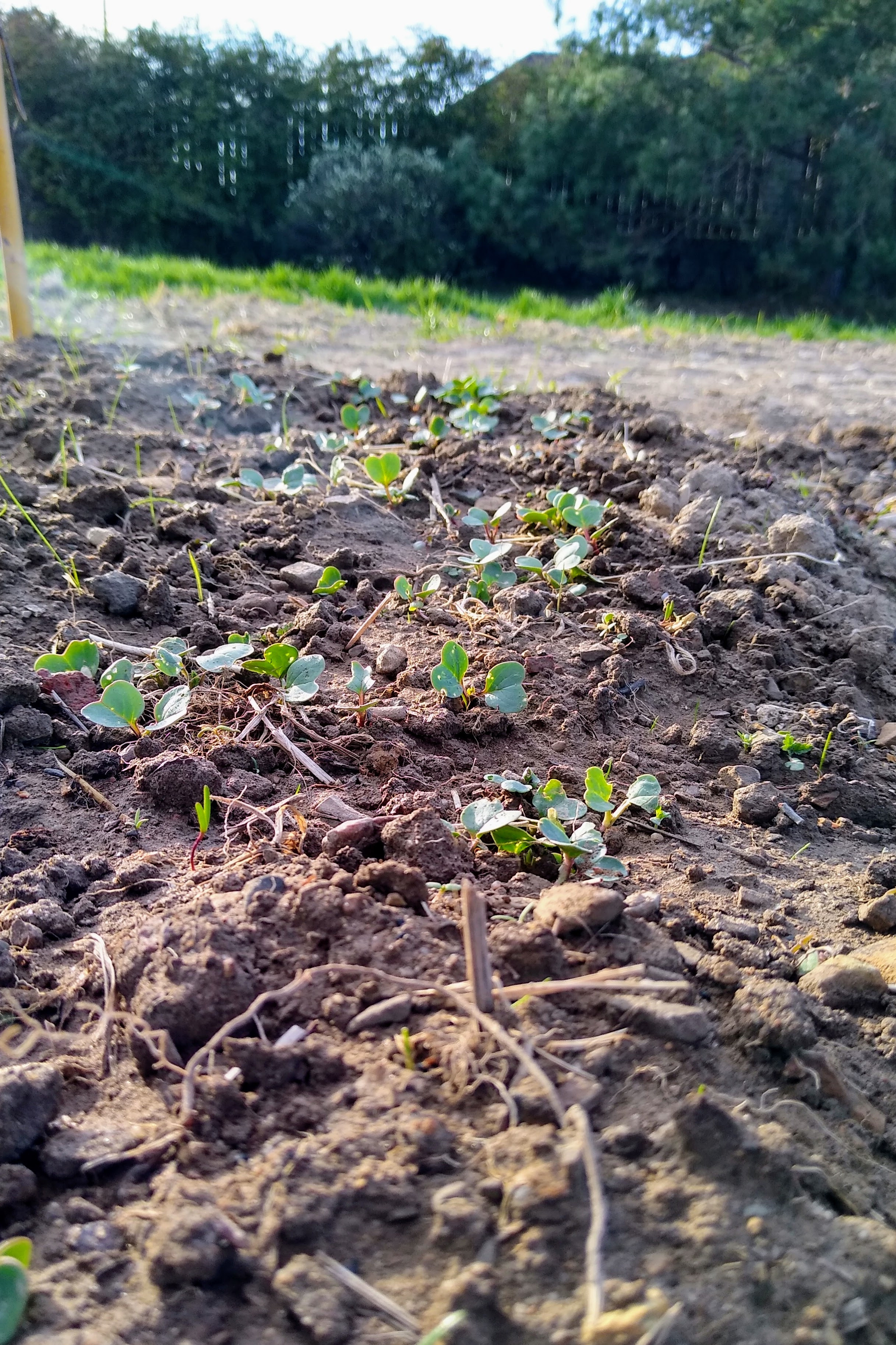 April. Kiki-Niki-Cha! Learn, play, and discover with us!