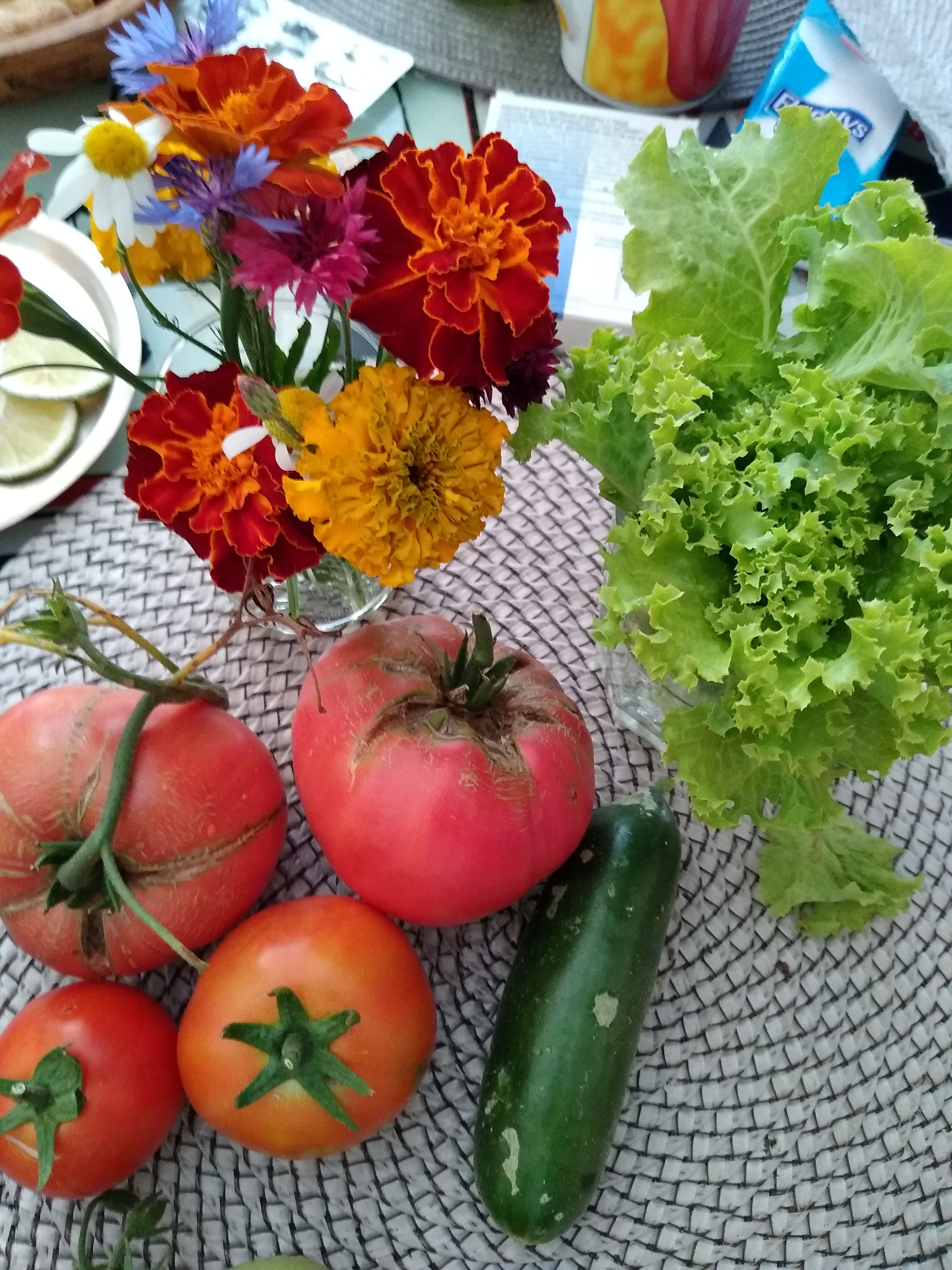 July. Kiki-Niki-Cha! Learn, play, and discover with us!