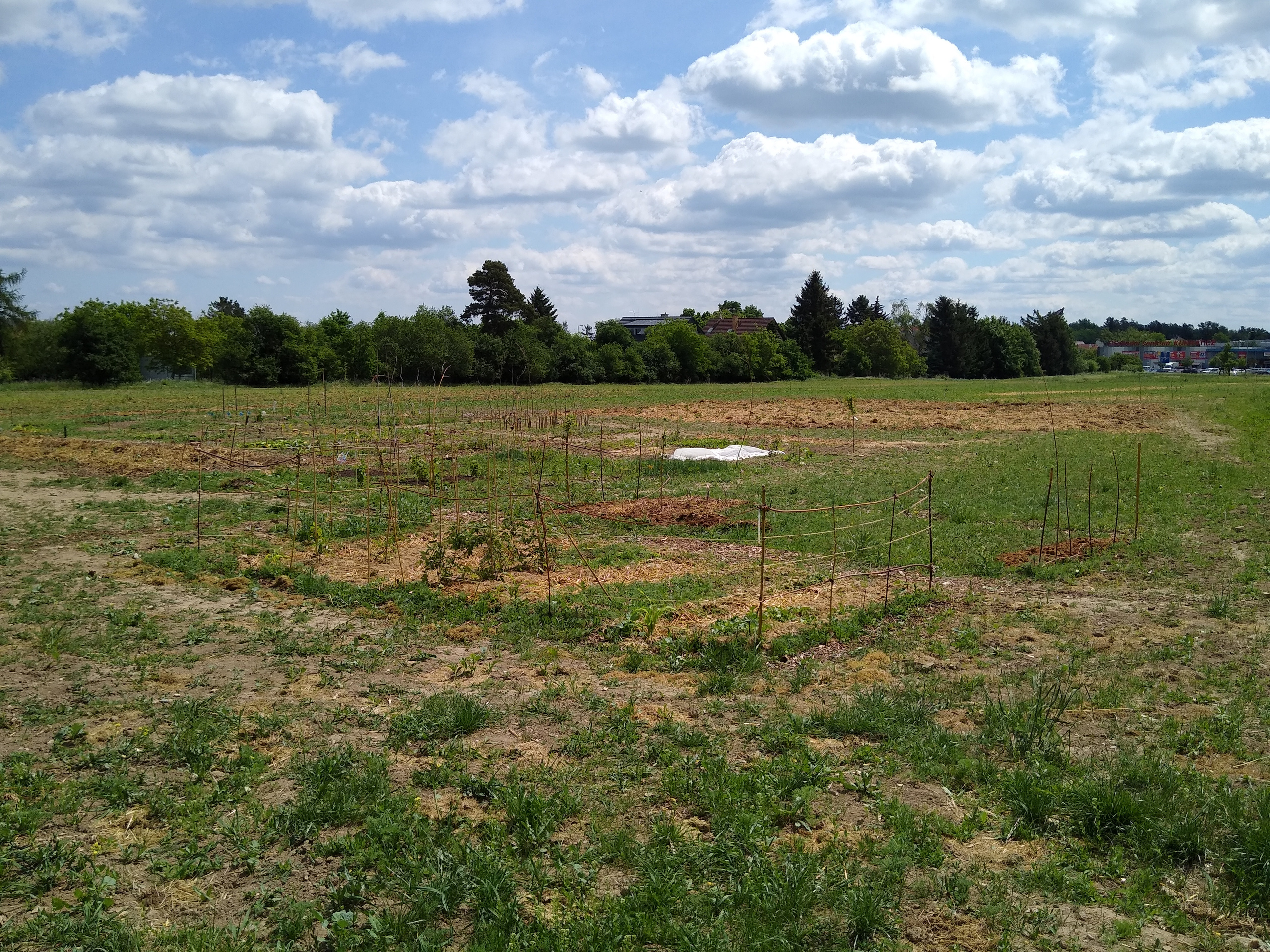 May. Kiki-Niki-Cha! Learn, play, and discover with us!